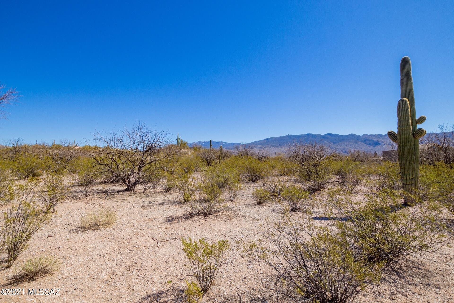 BRAND NEW WELL drilled in 2020. Majestic Mountain views & Natural desert surroundings in a desirable NE neighborhood just West of La Cebadilla Estates and East of Forty Niners Country Club. Create your dream home! Horses allowed. Imagine waking up to the stunning sunrise & birds chirping away. Watch the sunsets from your sparkling pool. Start living the Country life! Call for details on seller's blueprints featuring a 4,100 sq ft home with 4 beds, 3.5 baths, 3 car garage plus RV garage. All other utilities at lot line.