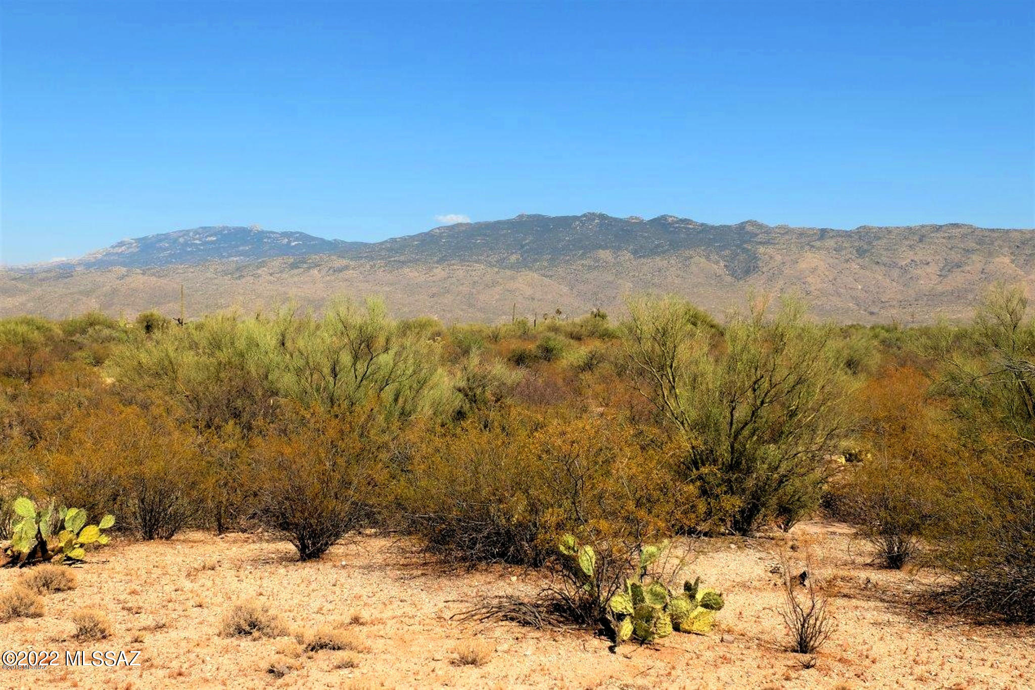 Wild Horse Ranch Estates (1-66) - Land