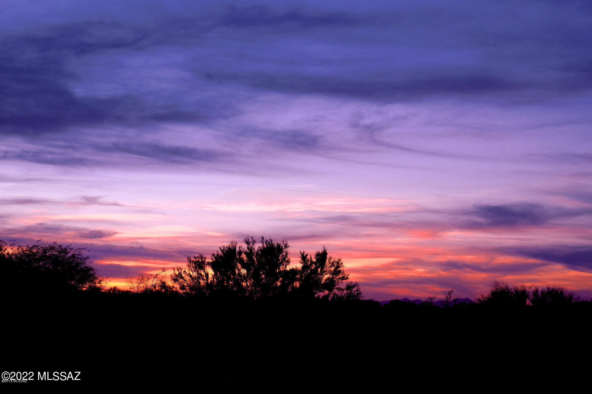 Wild Horse Ranch Estates (1-66) - Land