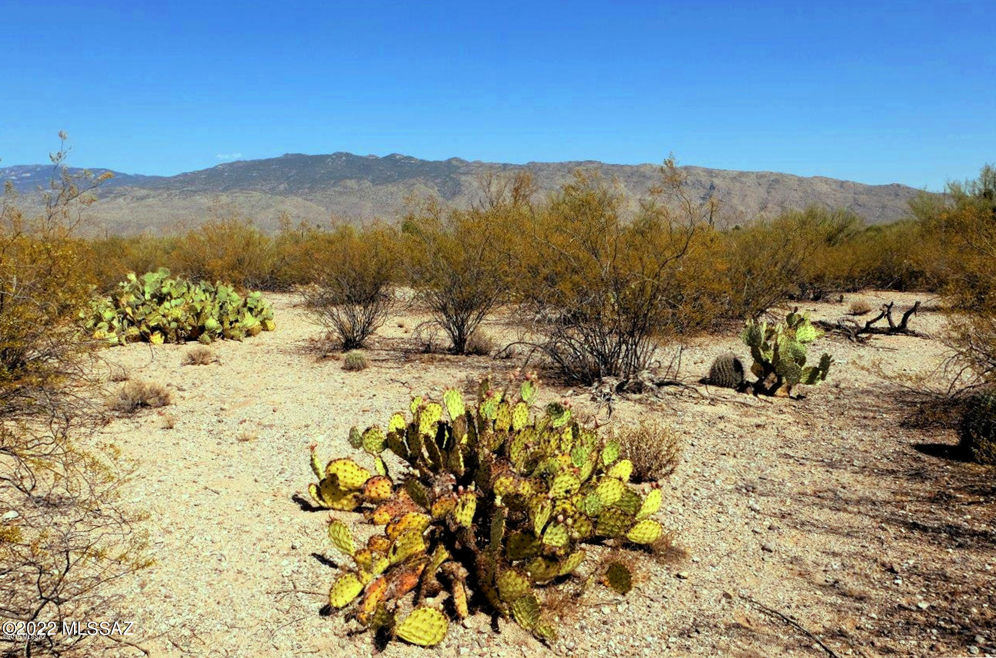 Wild Horse Ranch Estates (1-66) - Land