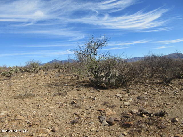Rio Rico Villas 11 - Land