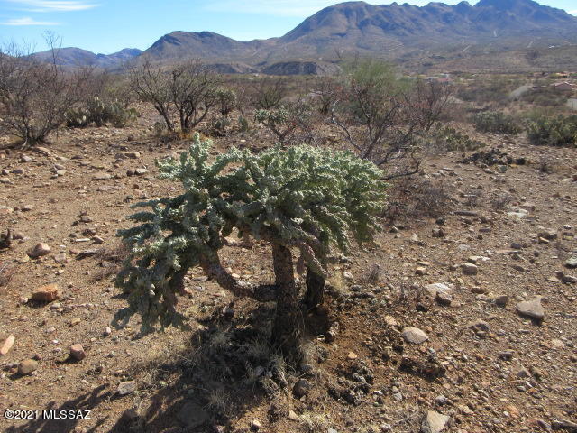 Rio Rico Villas 11 - Land