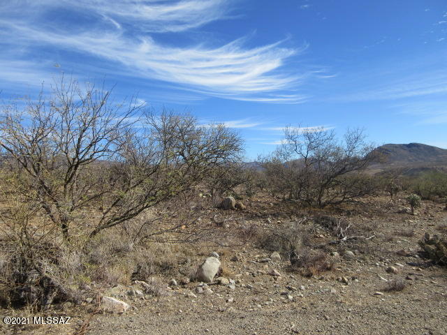 Rio Rico Villas 11 - Land