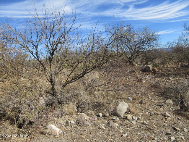 Great opportunity to build your dream custom built home on this .48 acres plus enjoy the beautiful mountain views!  Unobstructed mountain views! Mostly flat easy build home site, paved roads, water, sewer and electrical availability. Enjoy the beautiful sunset and sunrise as well as the gorgeous vegetation.