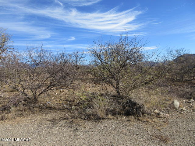 Rio Rico Villas 11 - Land