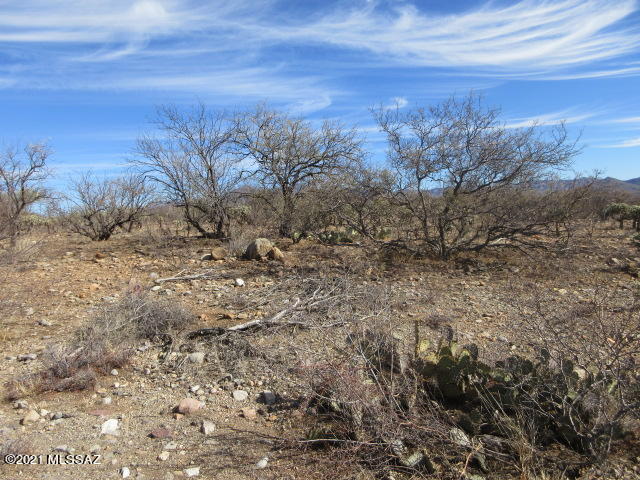 Rio Rico Villas 11 - Land