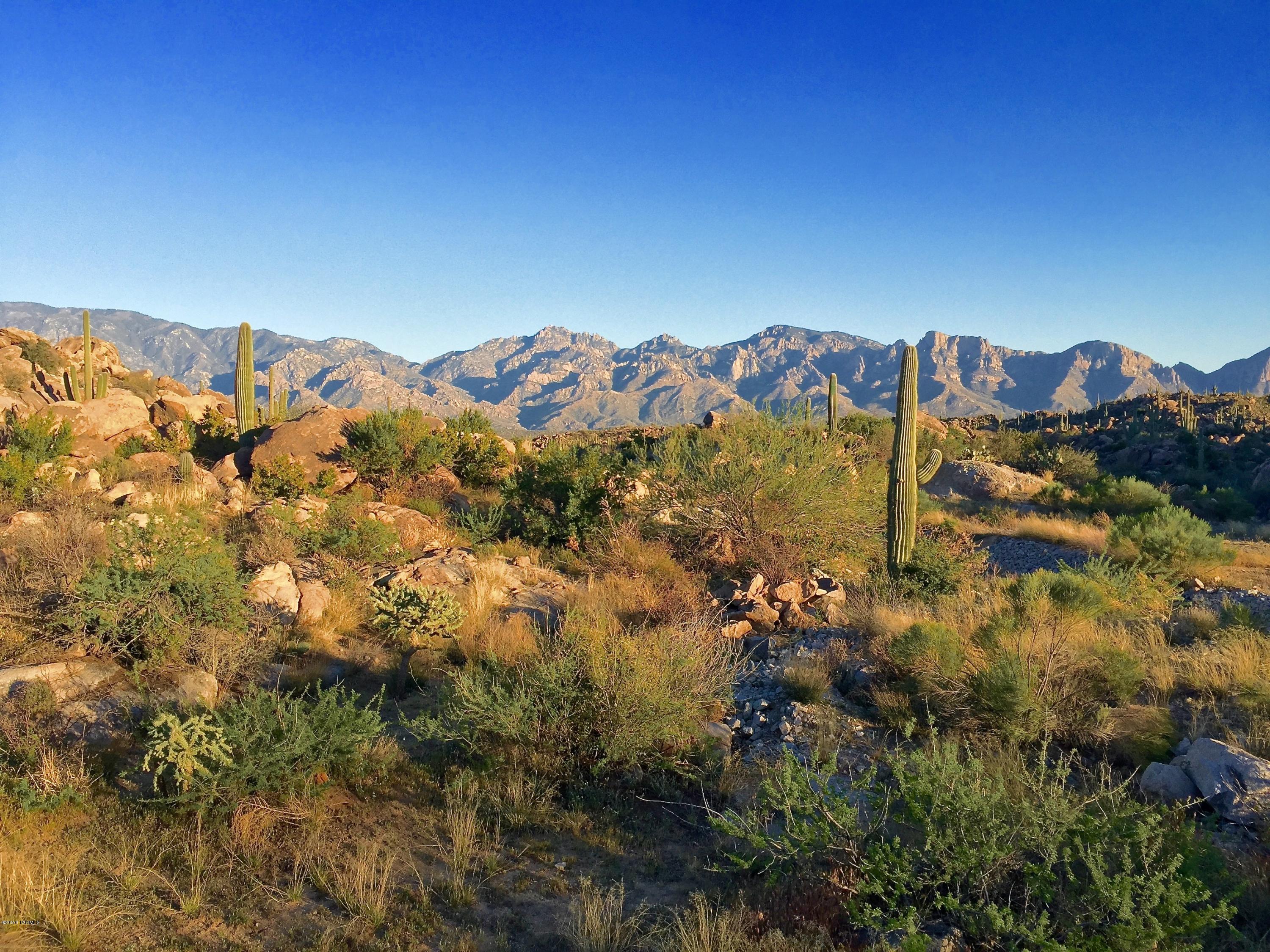 Stone Canyon IV - Land