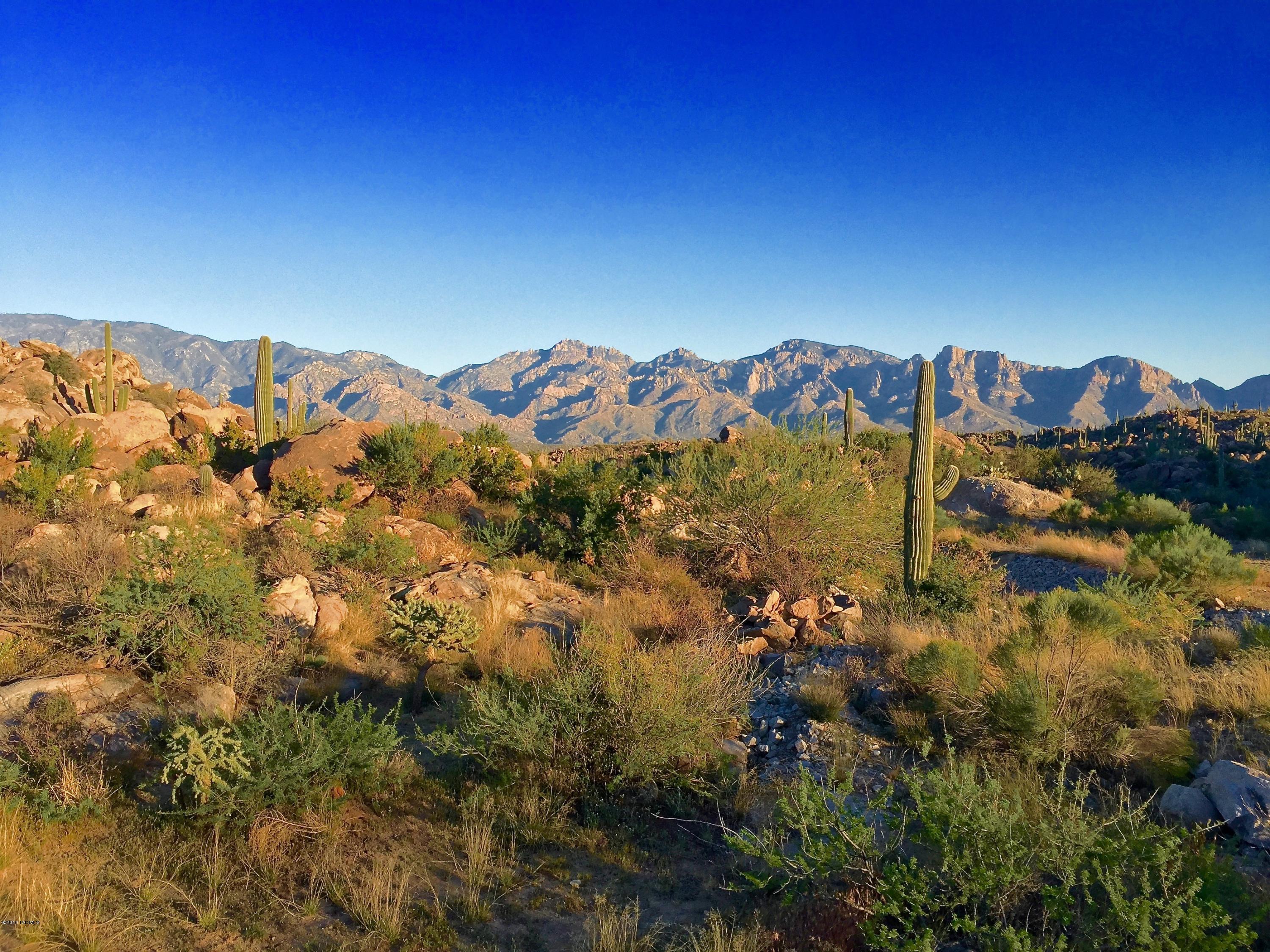 Stone Canyon IV - Land