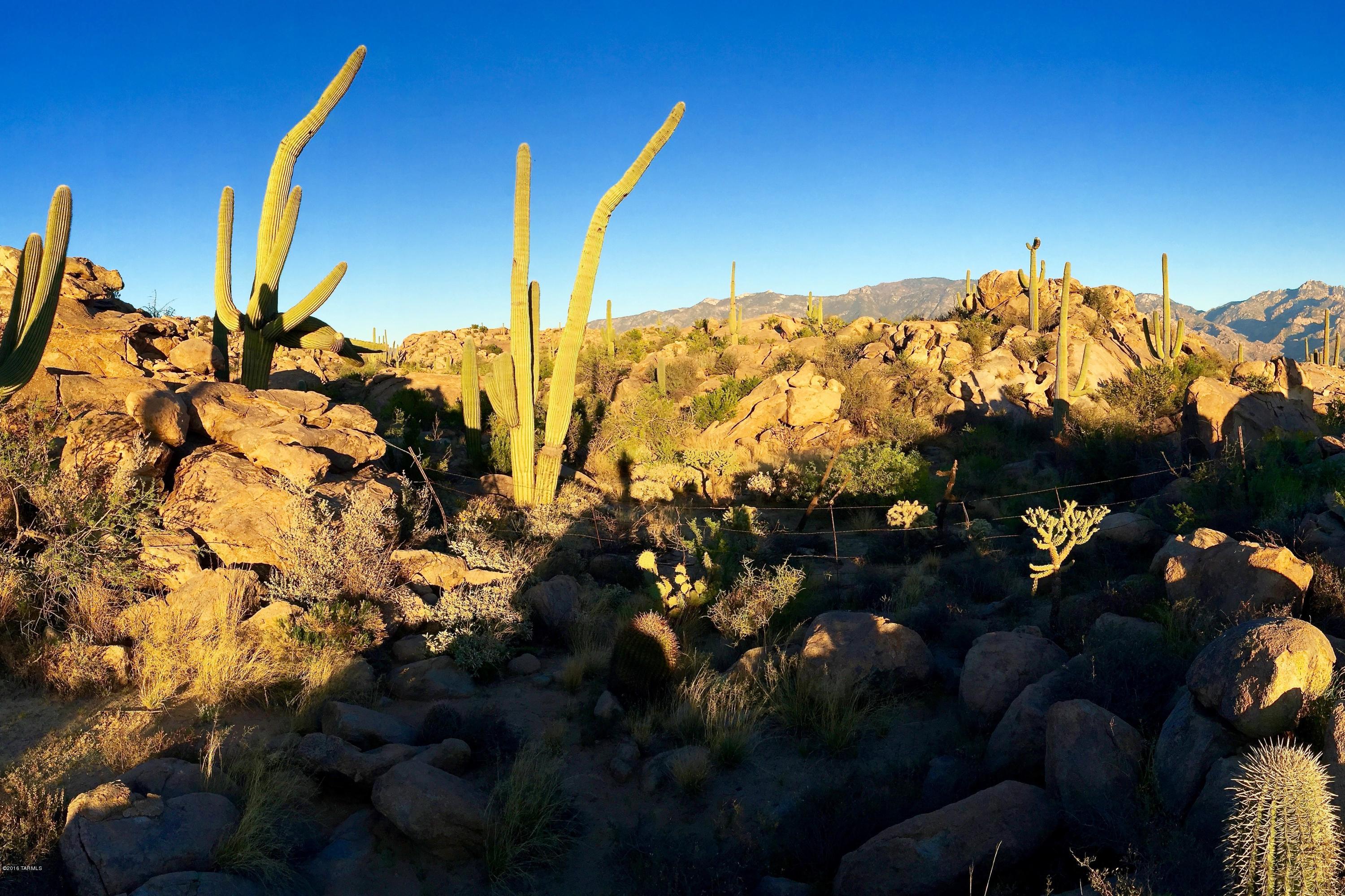 Stone Canyon IV - Land