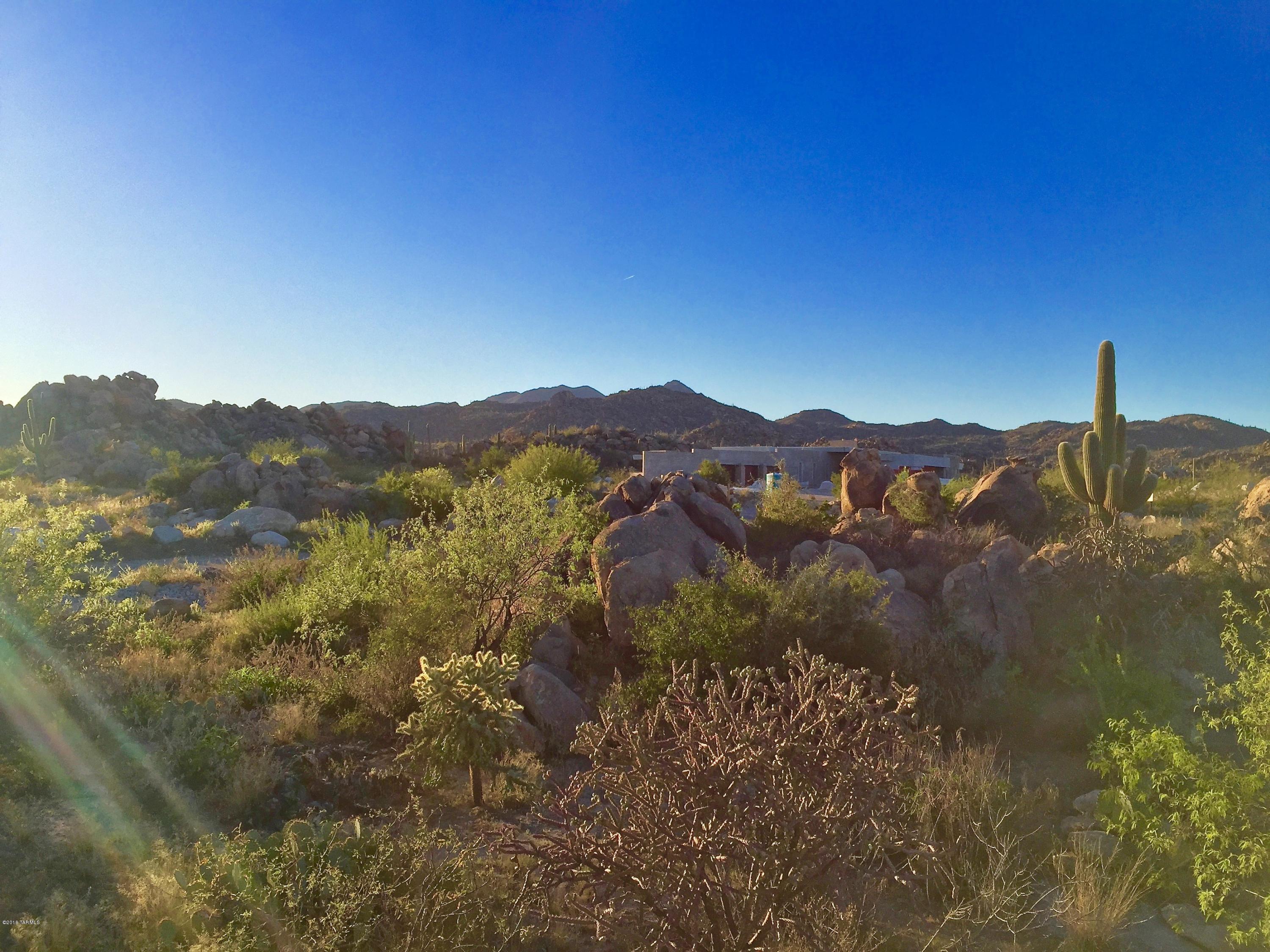 Stone Canyon IV - Land