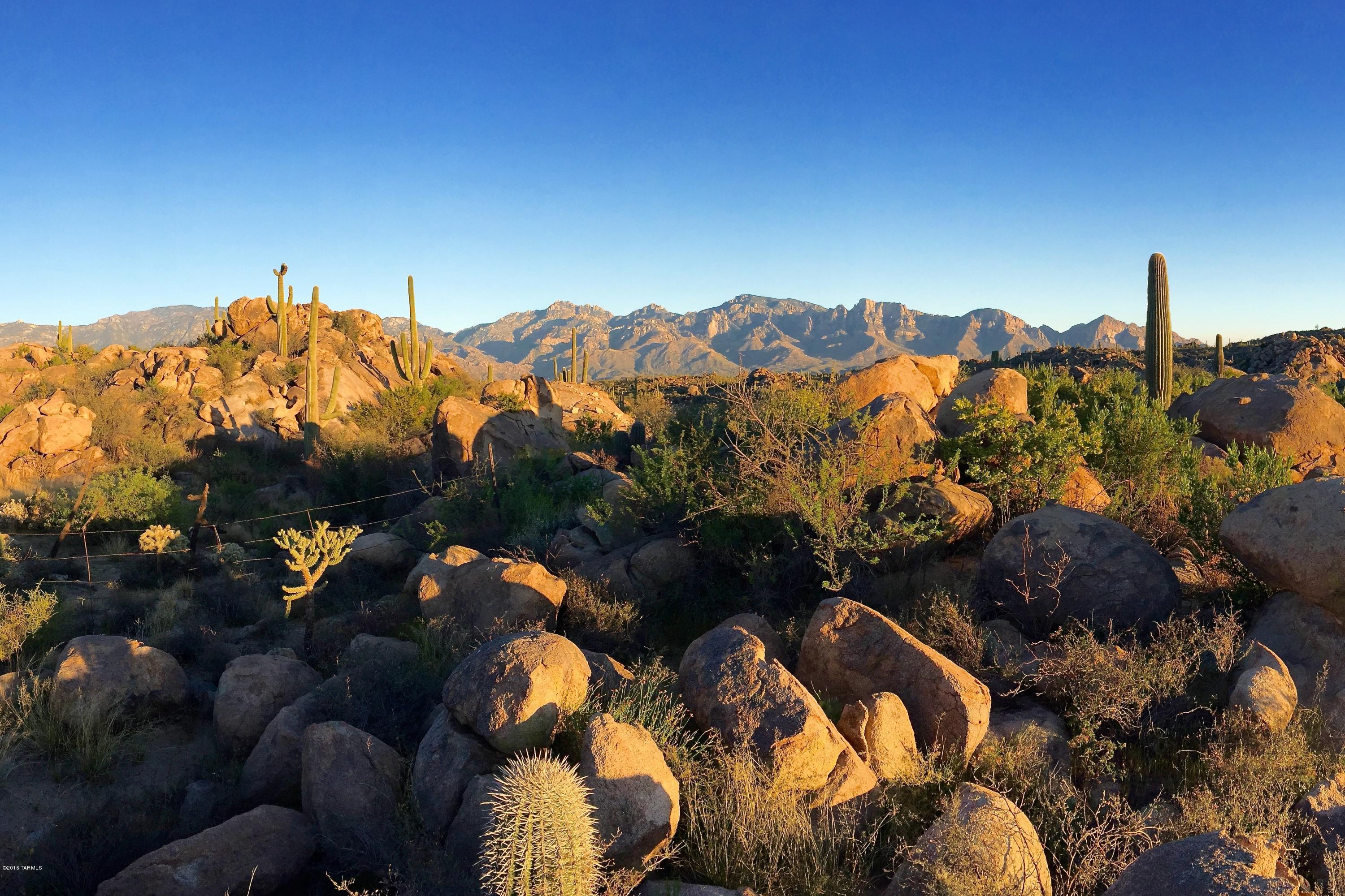 Stone Canyon IV - Land
