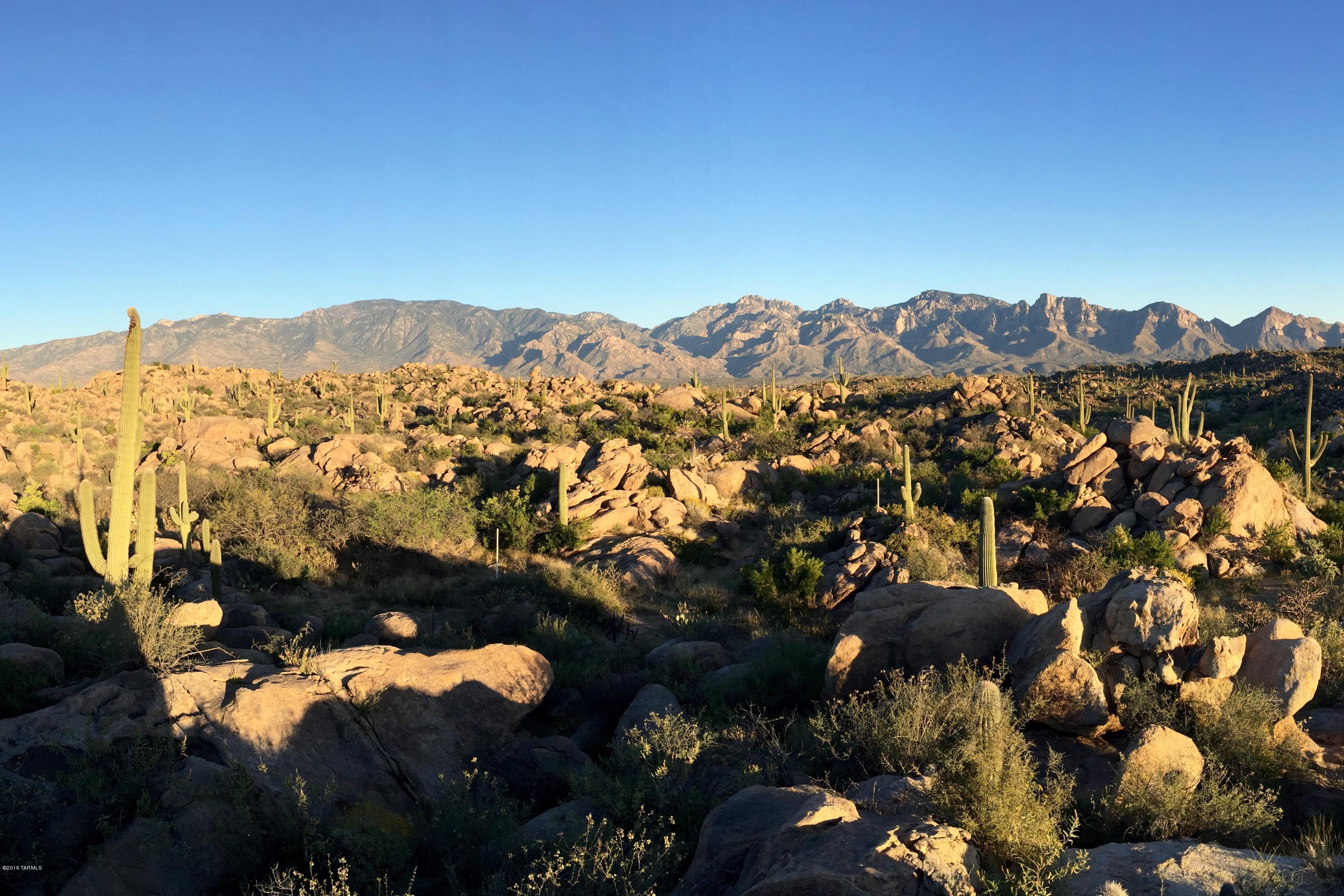 Stone Canyon IV - Land