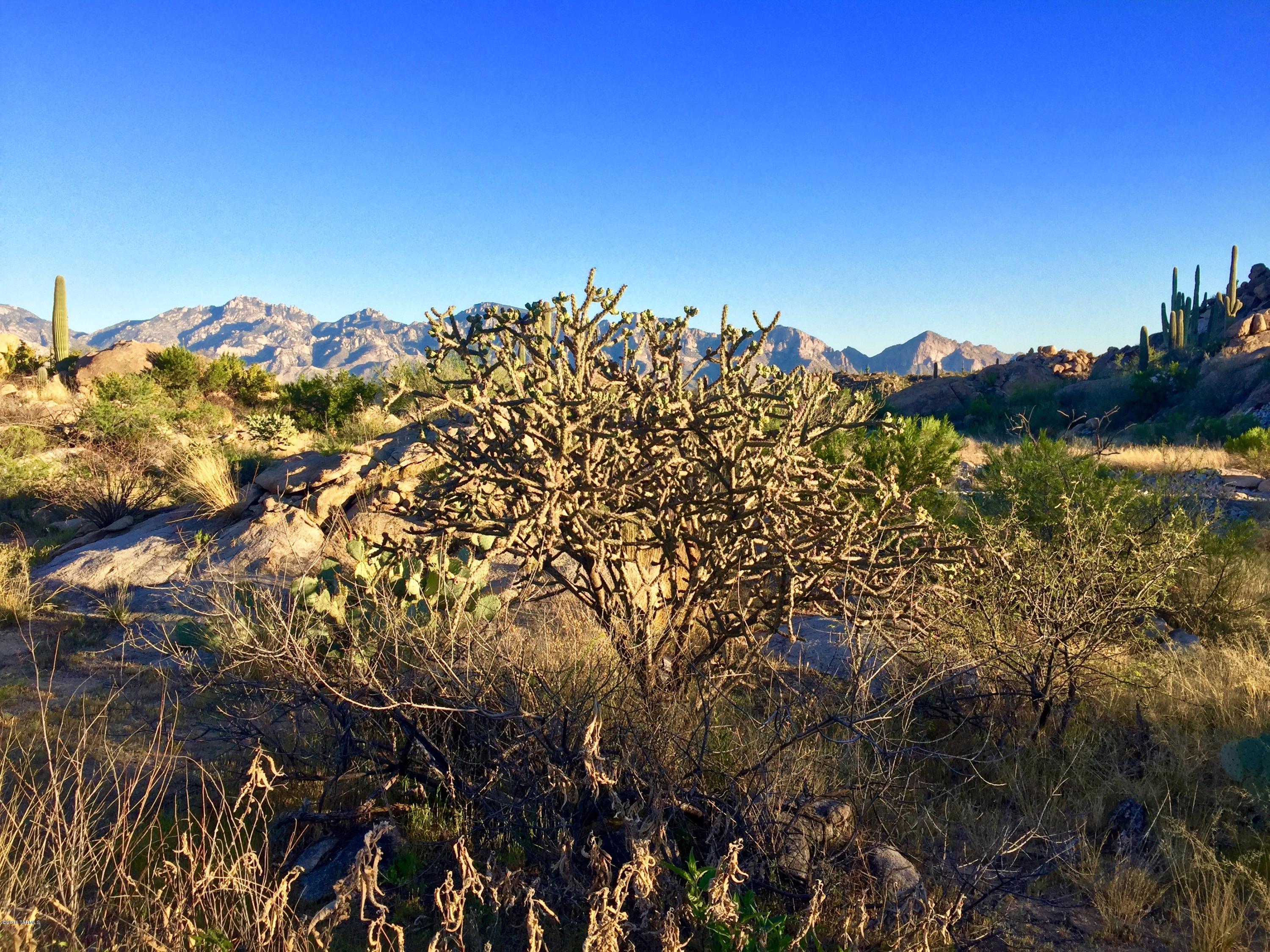 Stone Canyon IV - Land
