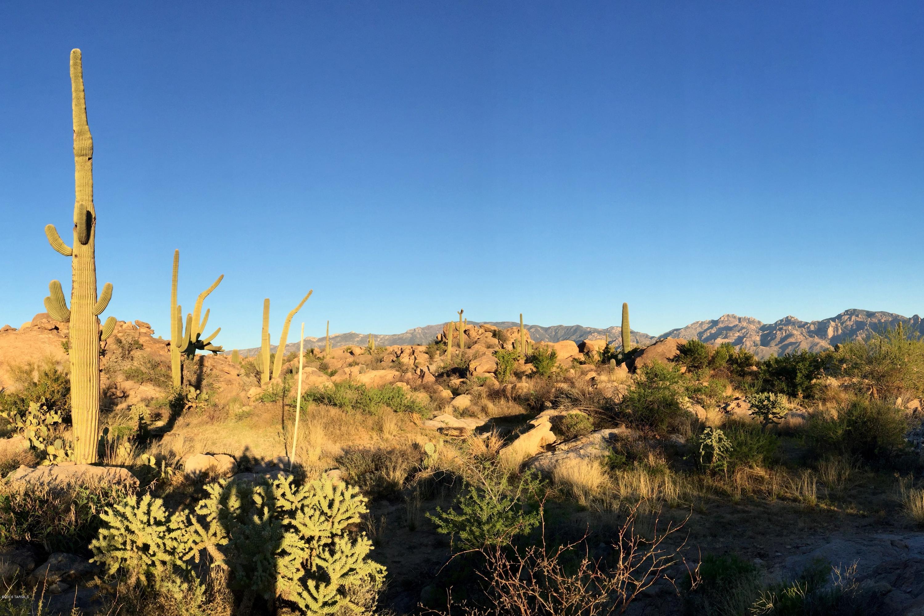 Stone Canyon IV - Land