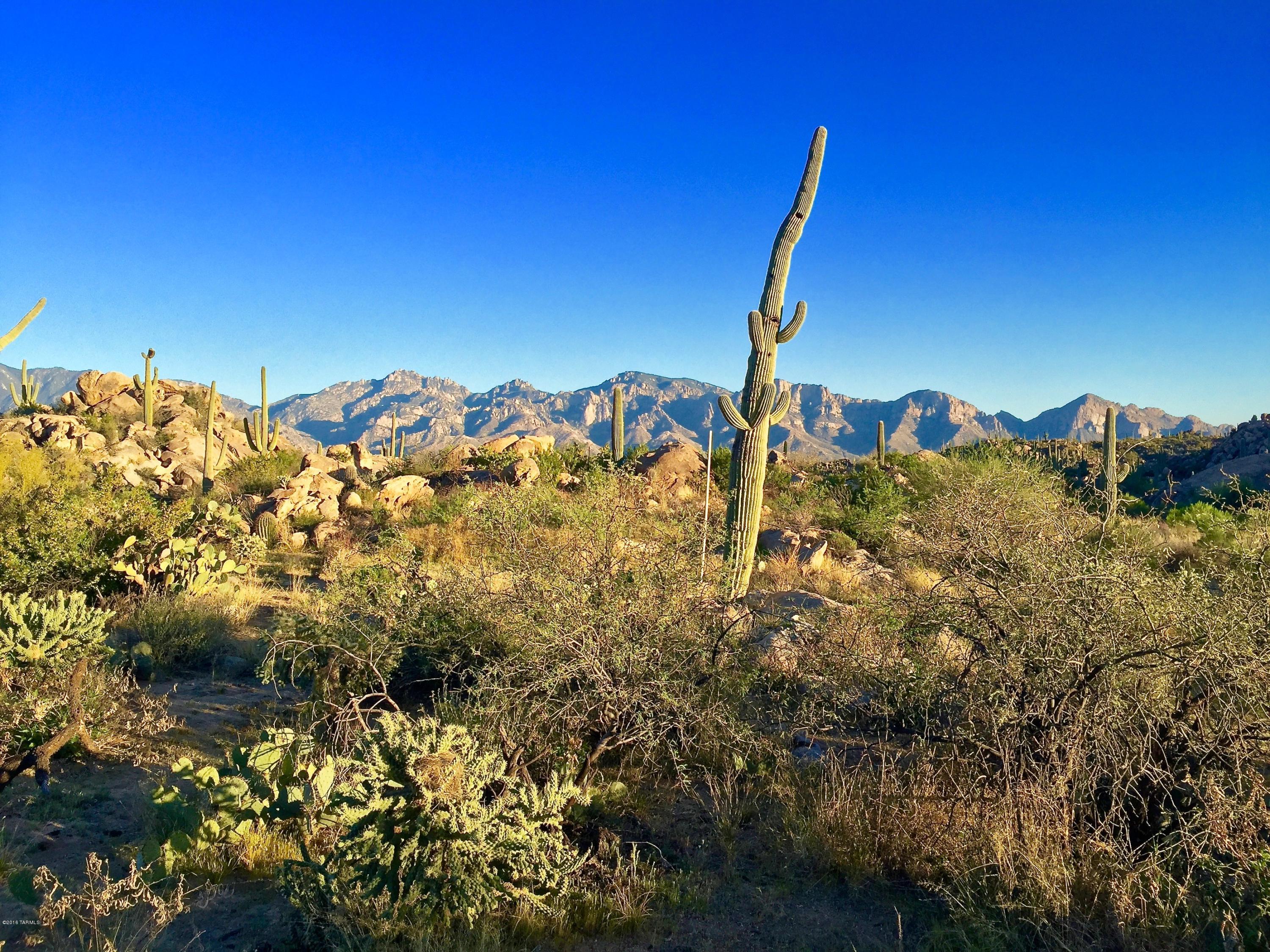 Stone Canyon IV - Land