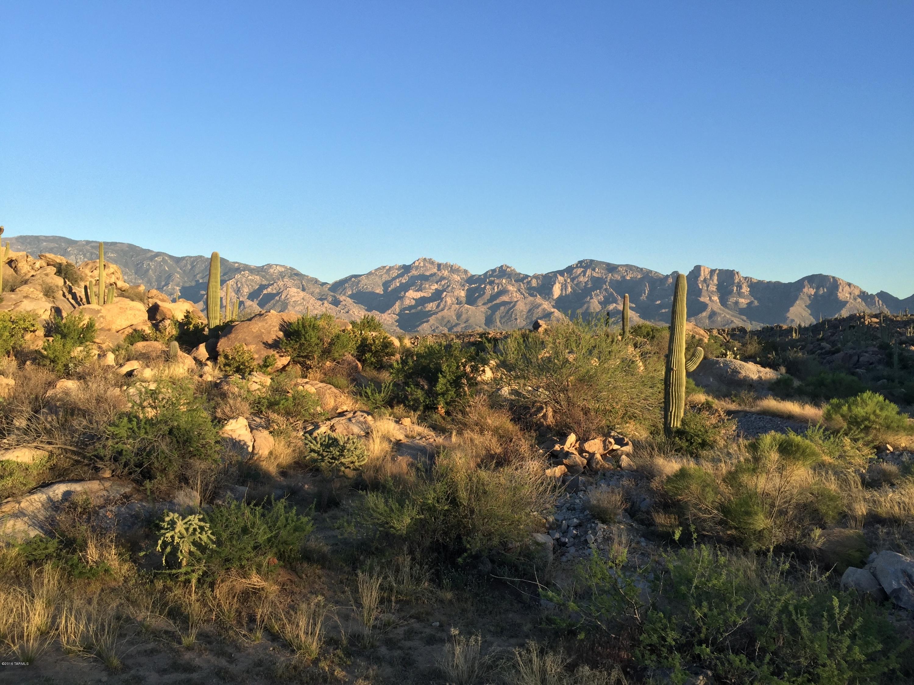 Stone Canyon IV - Land