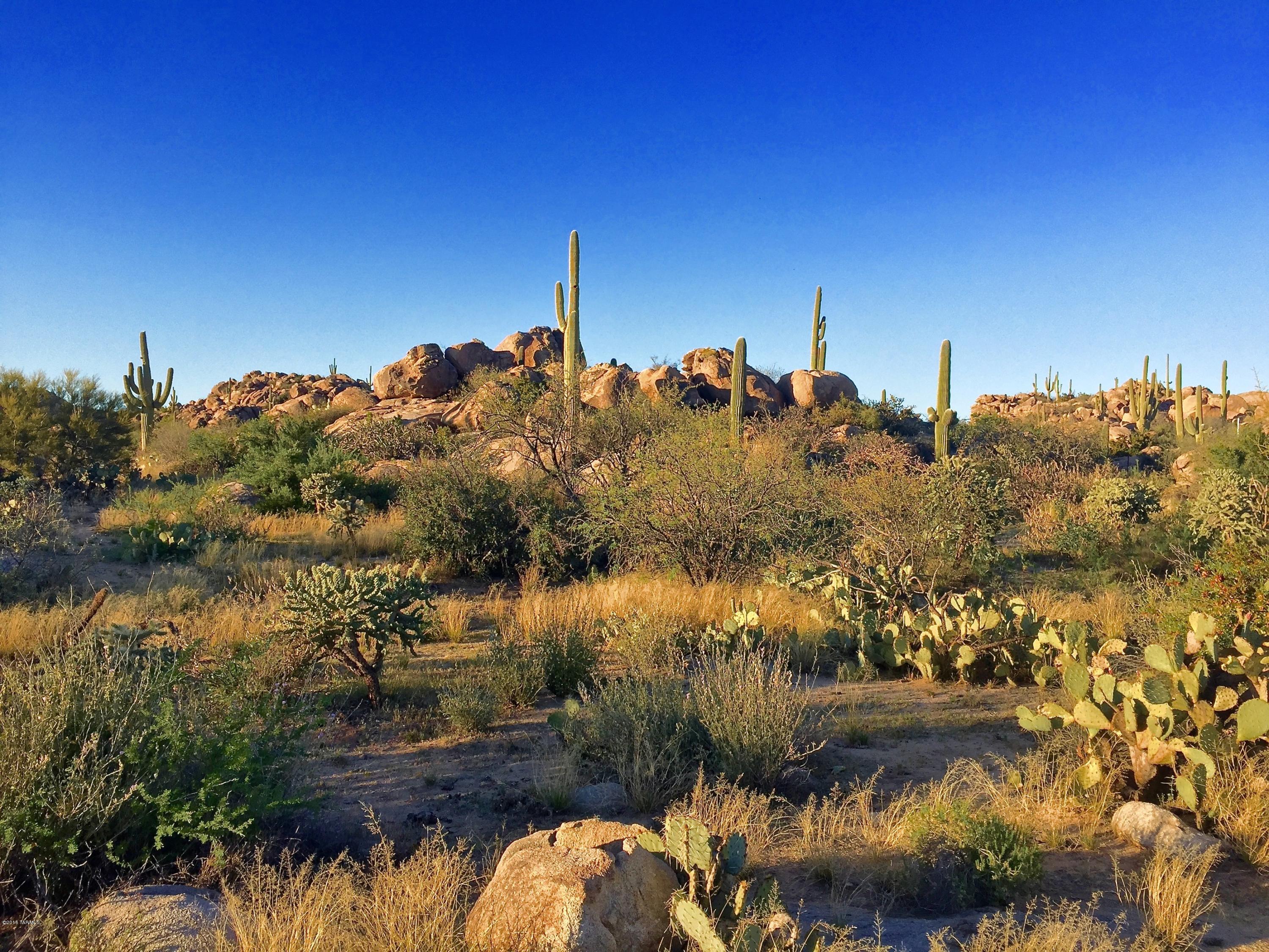 Stone Canyon IV - Land
