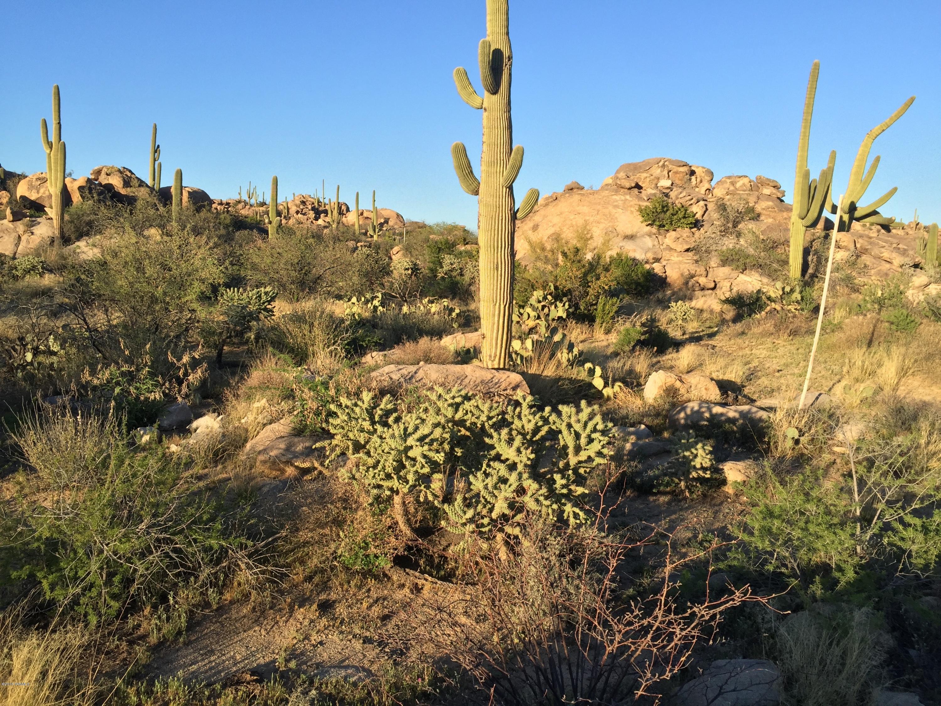 Stone Canyon IV - Land