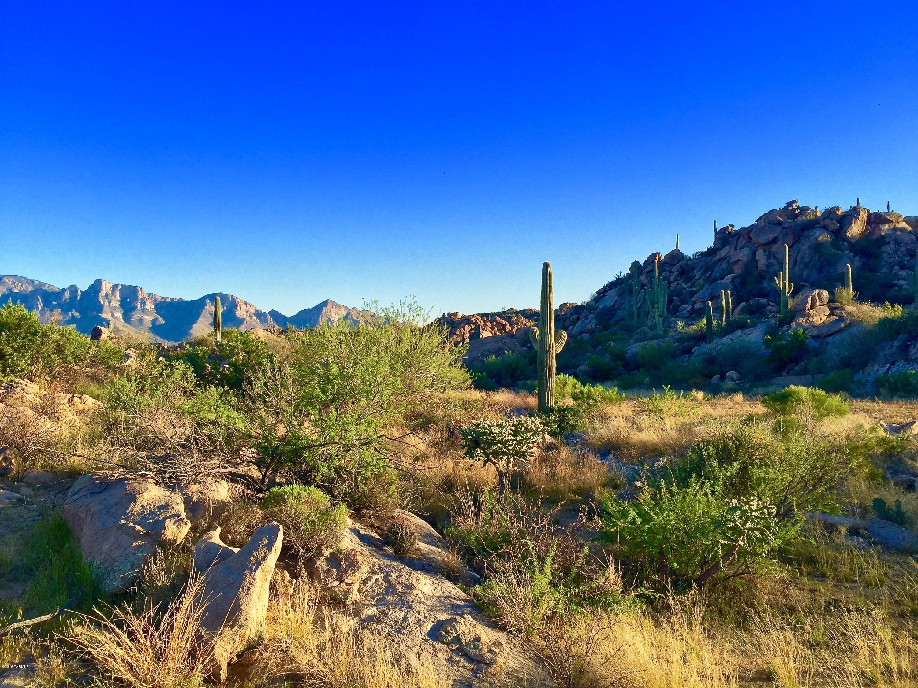 Stone Canyon IV - Land