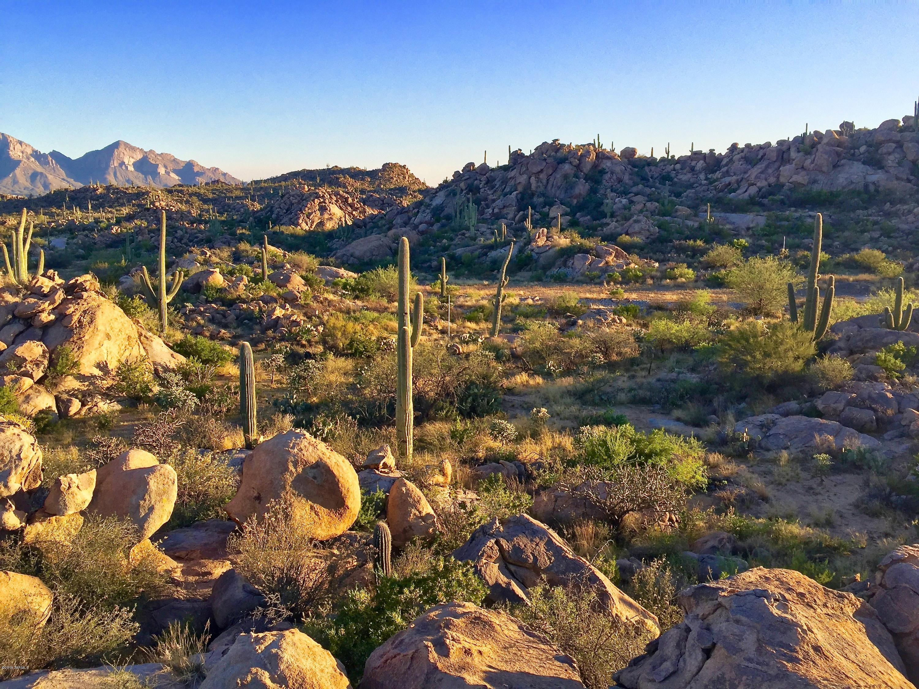 Stone Canyon IV - Land