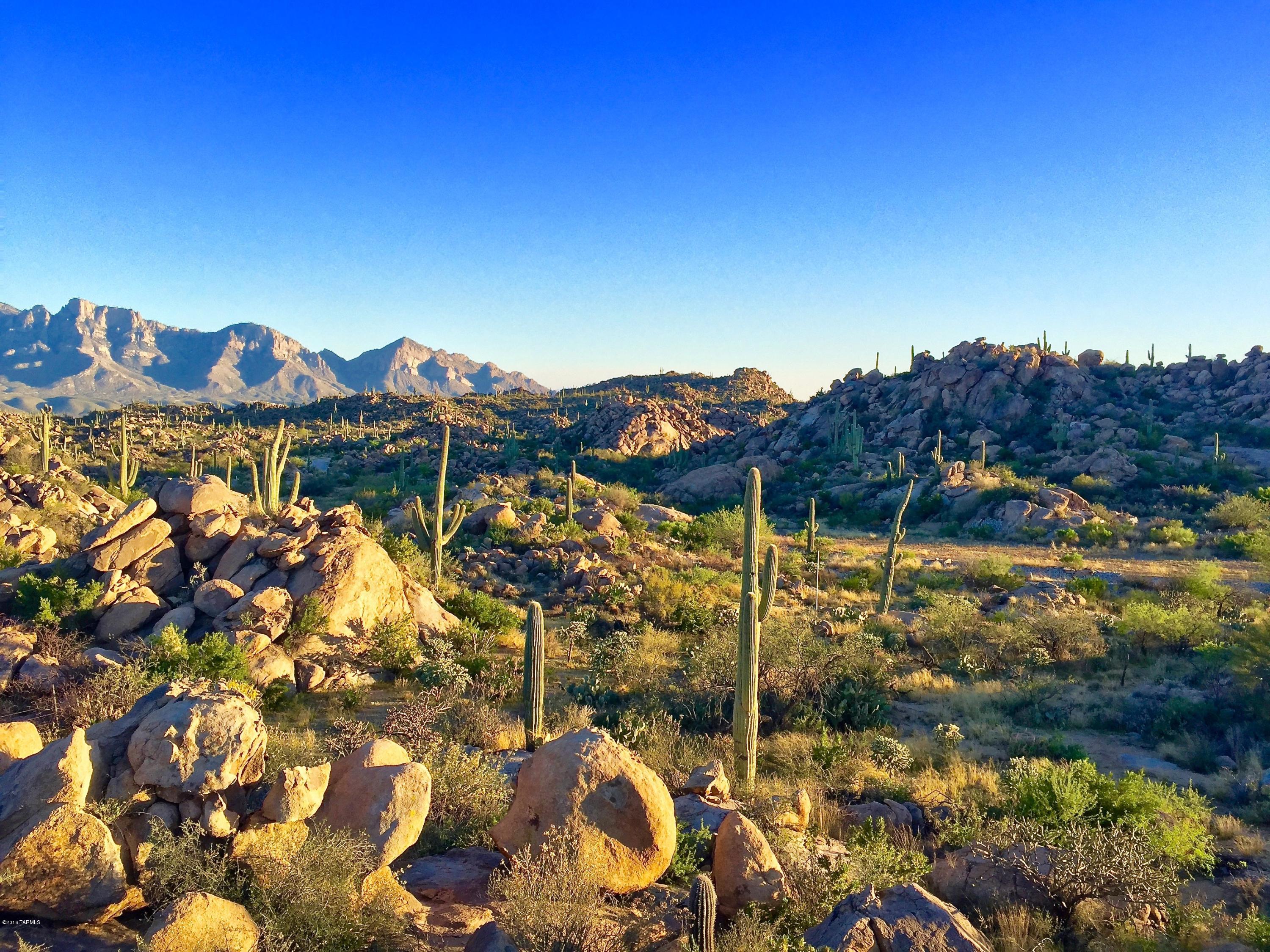 Stone Canyon IV - Land
