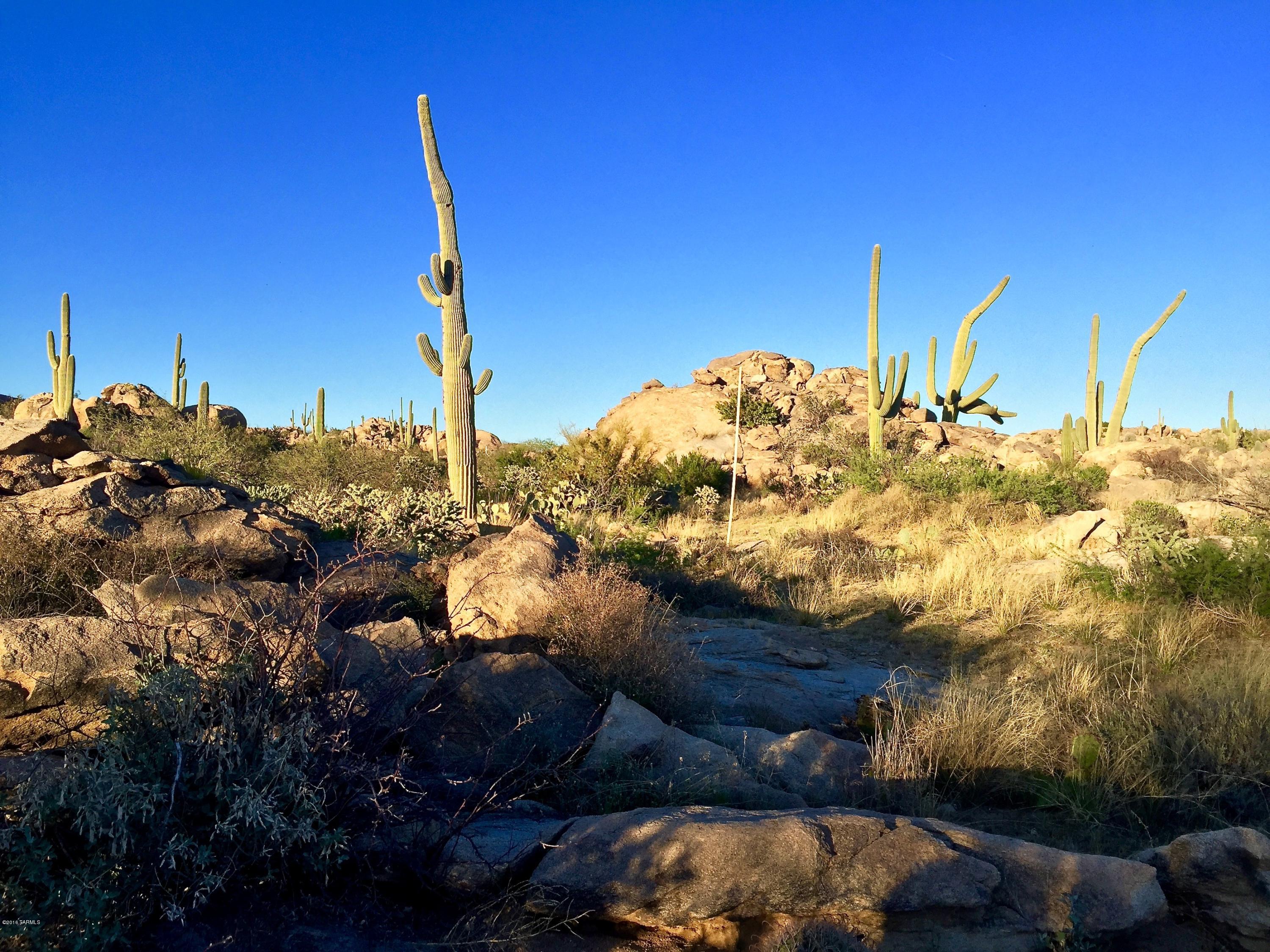 Stone Canyon IV - Land