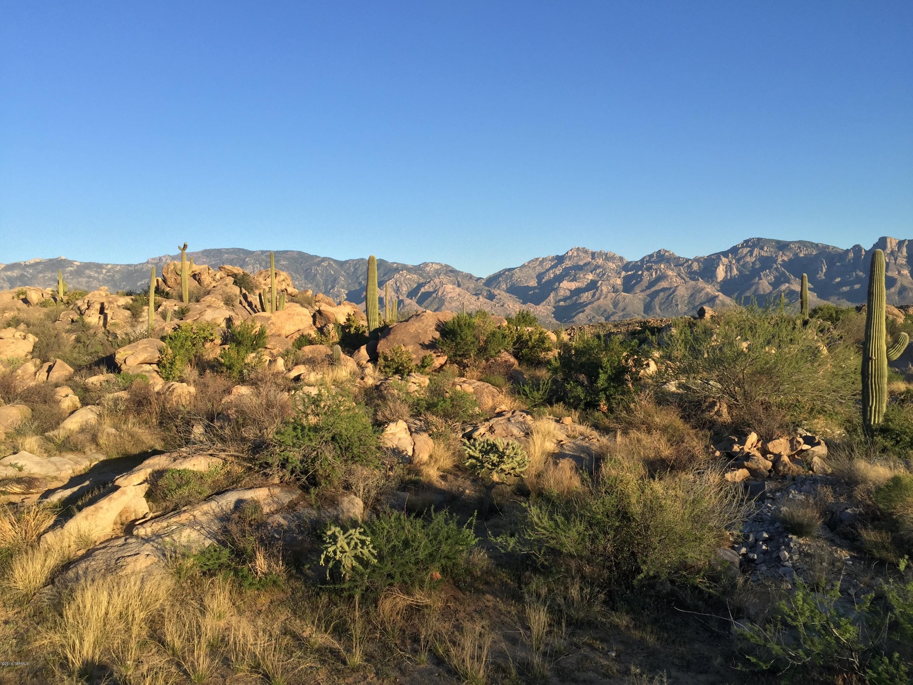 Stone Canyon IV - Land