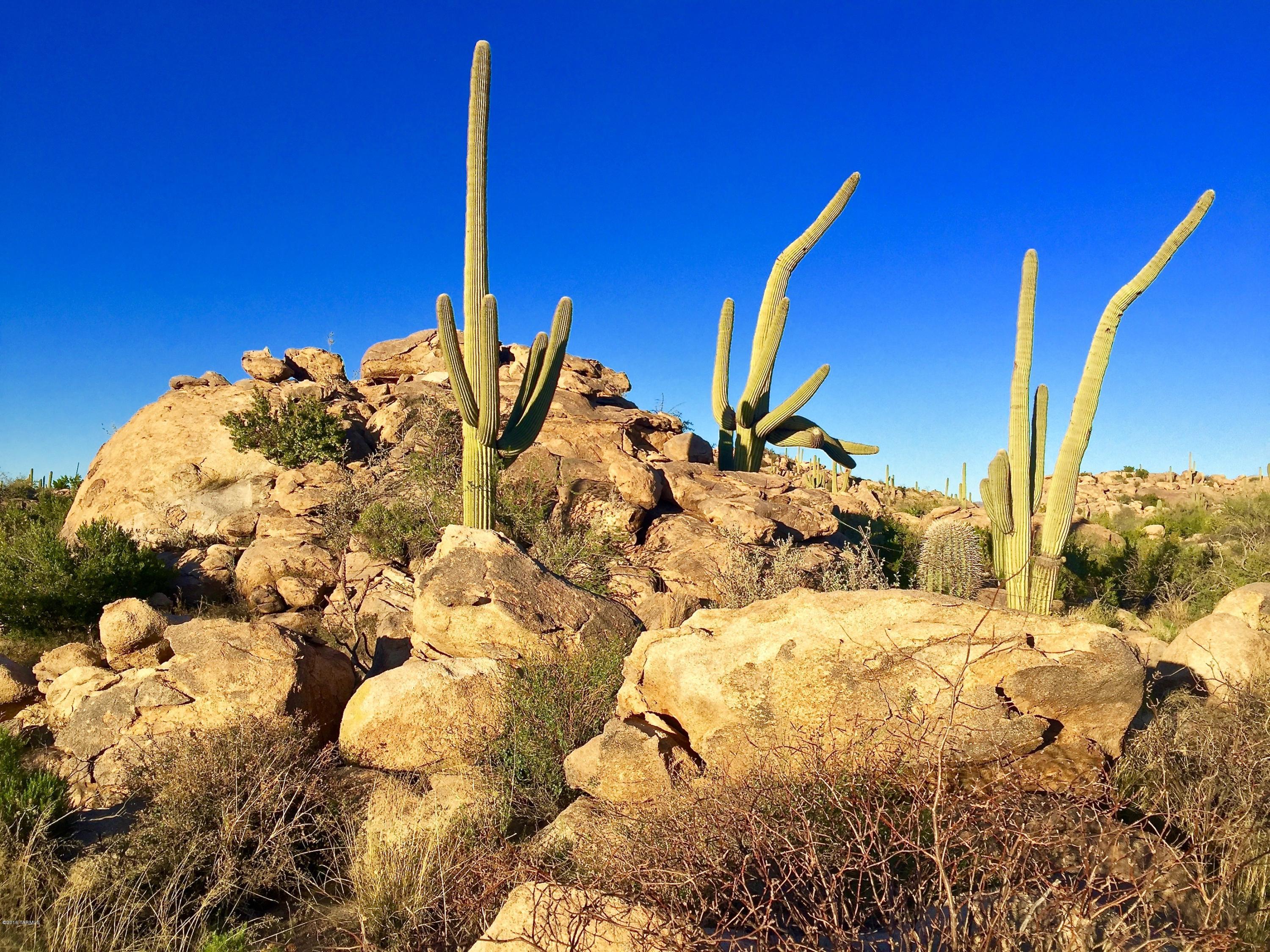 Stone Canyon IV - Land