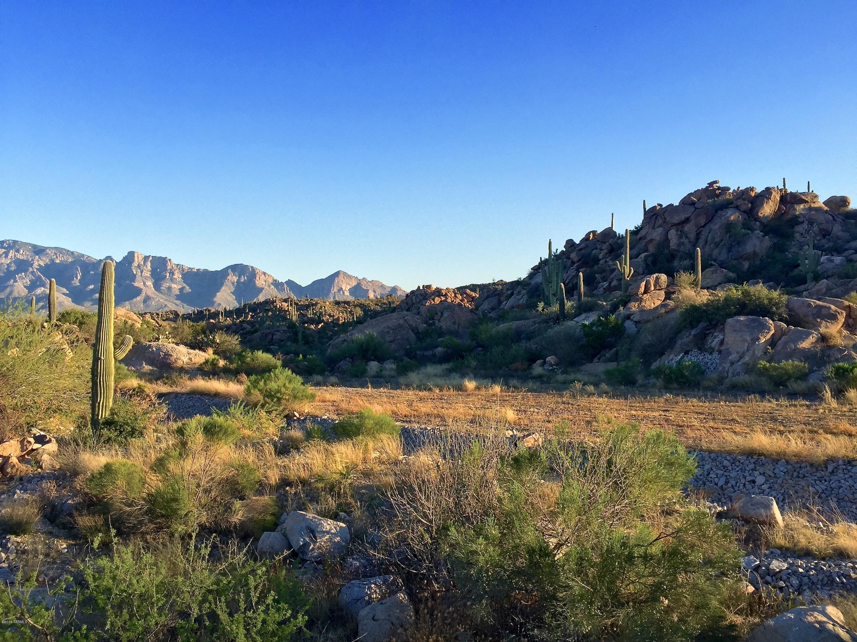 Stone Canyon IV - Land