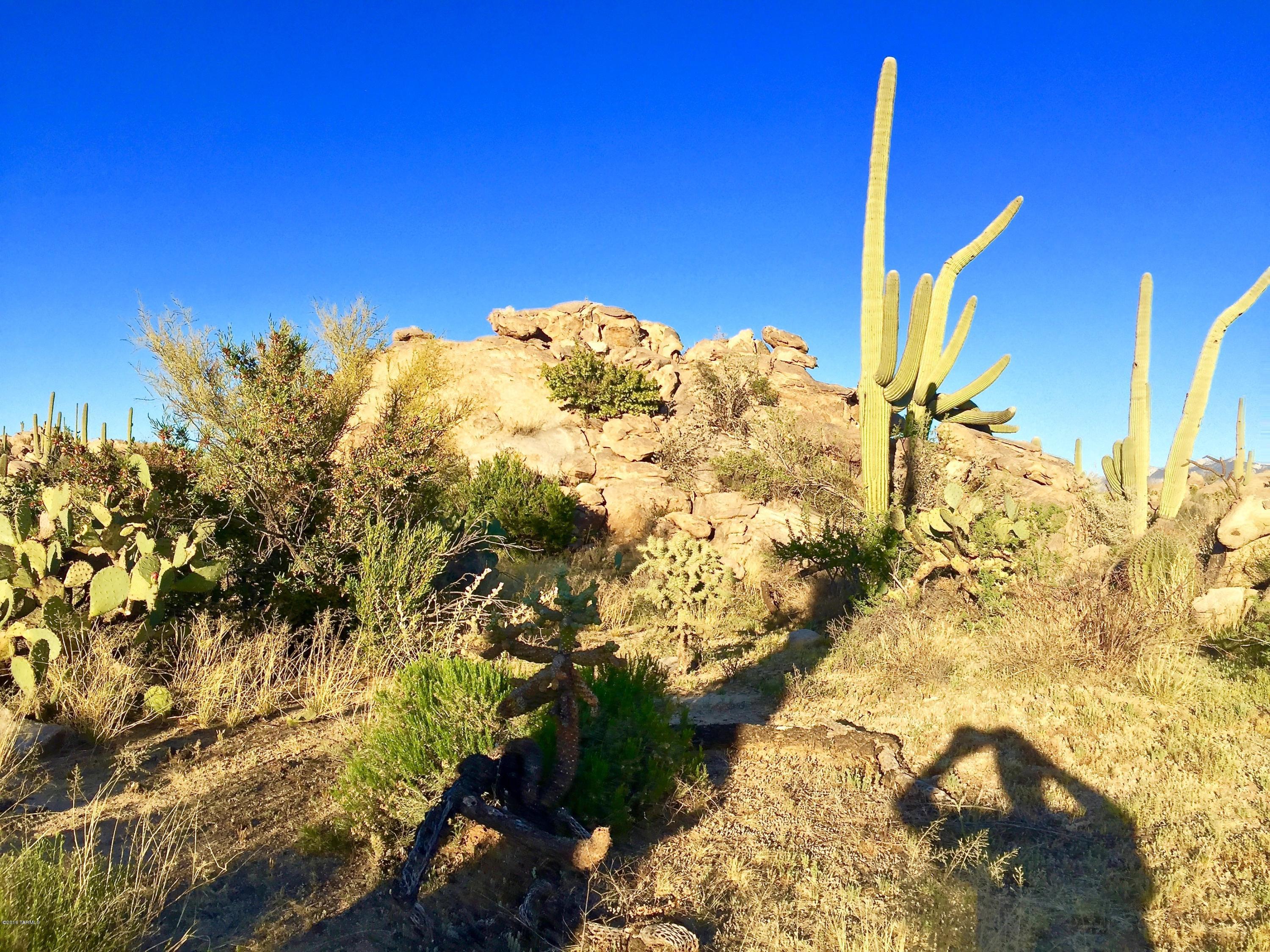 Stone Canyon IV - Land