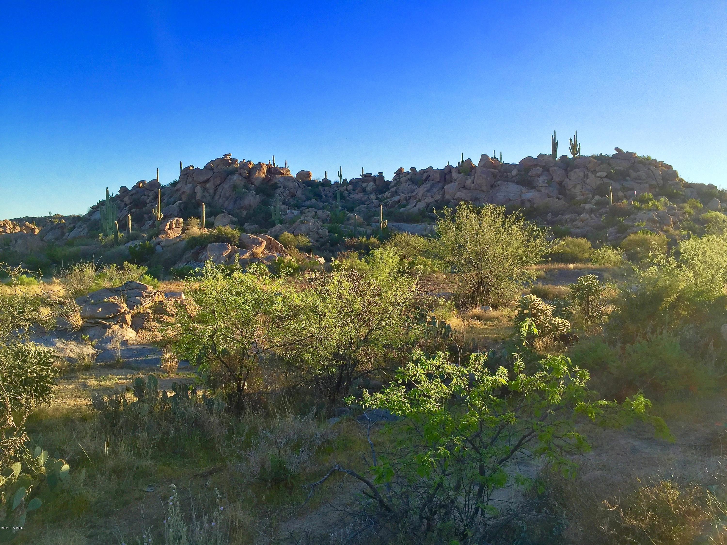 Stone Canyon IV - Land