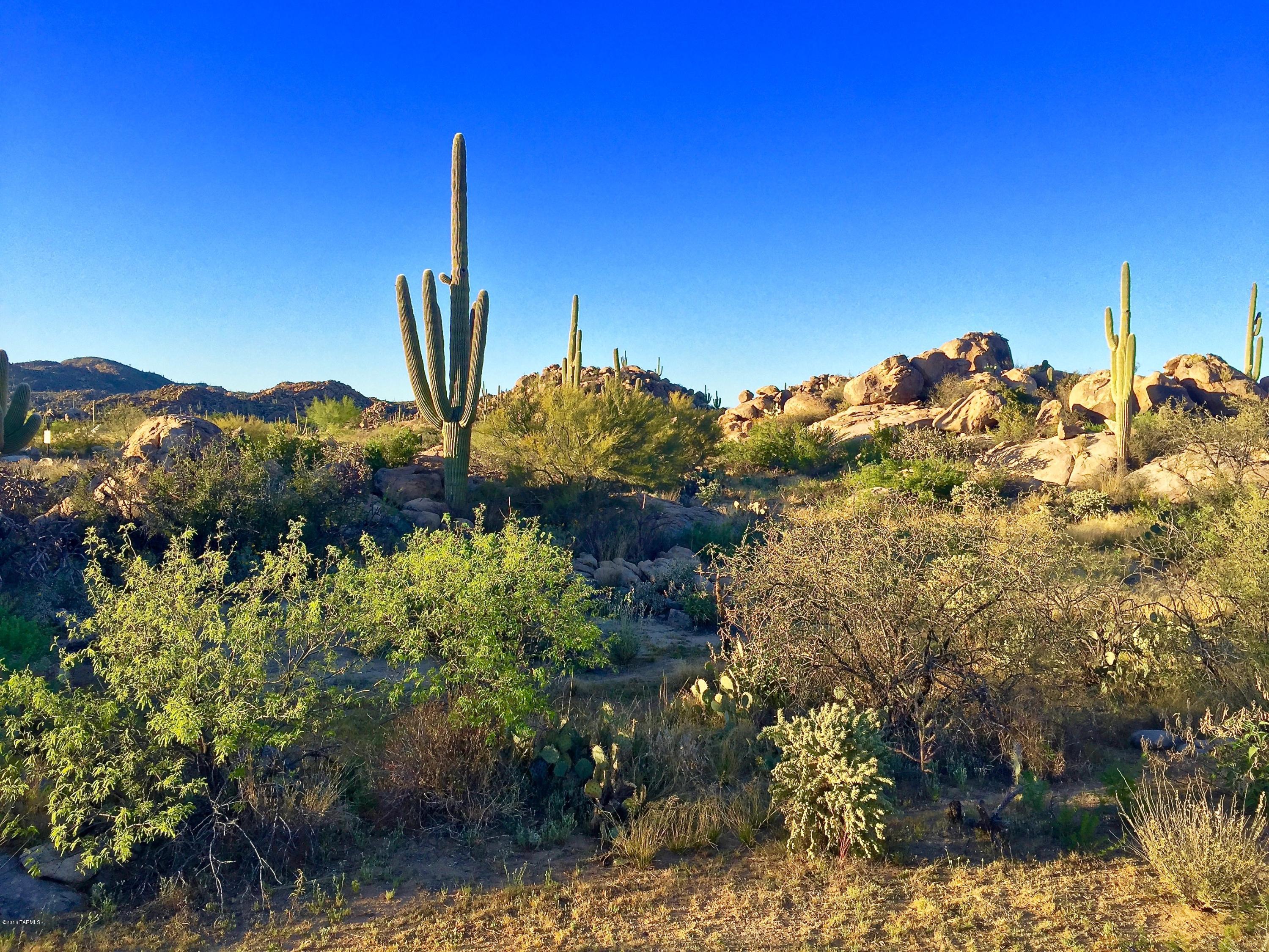 Stone Canyon IV - Land