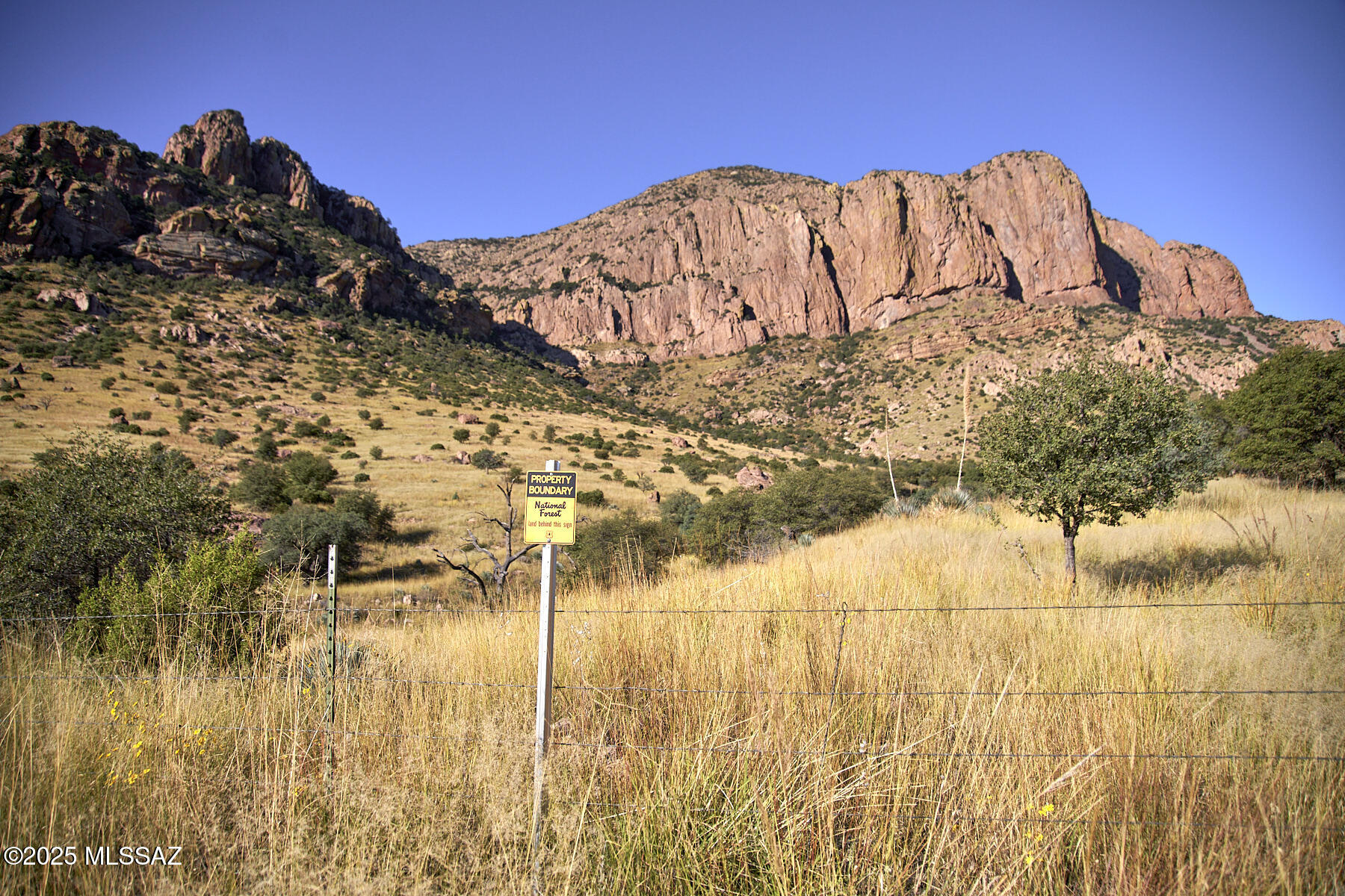 Out Of Pima County - Land