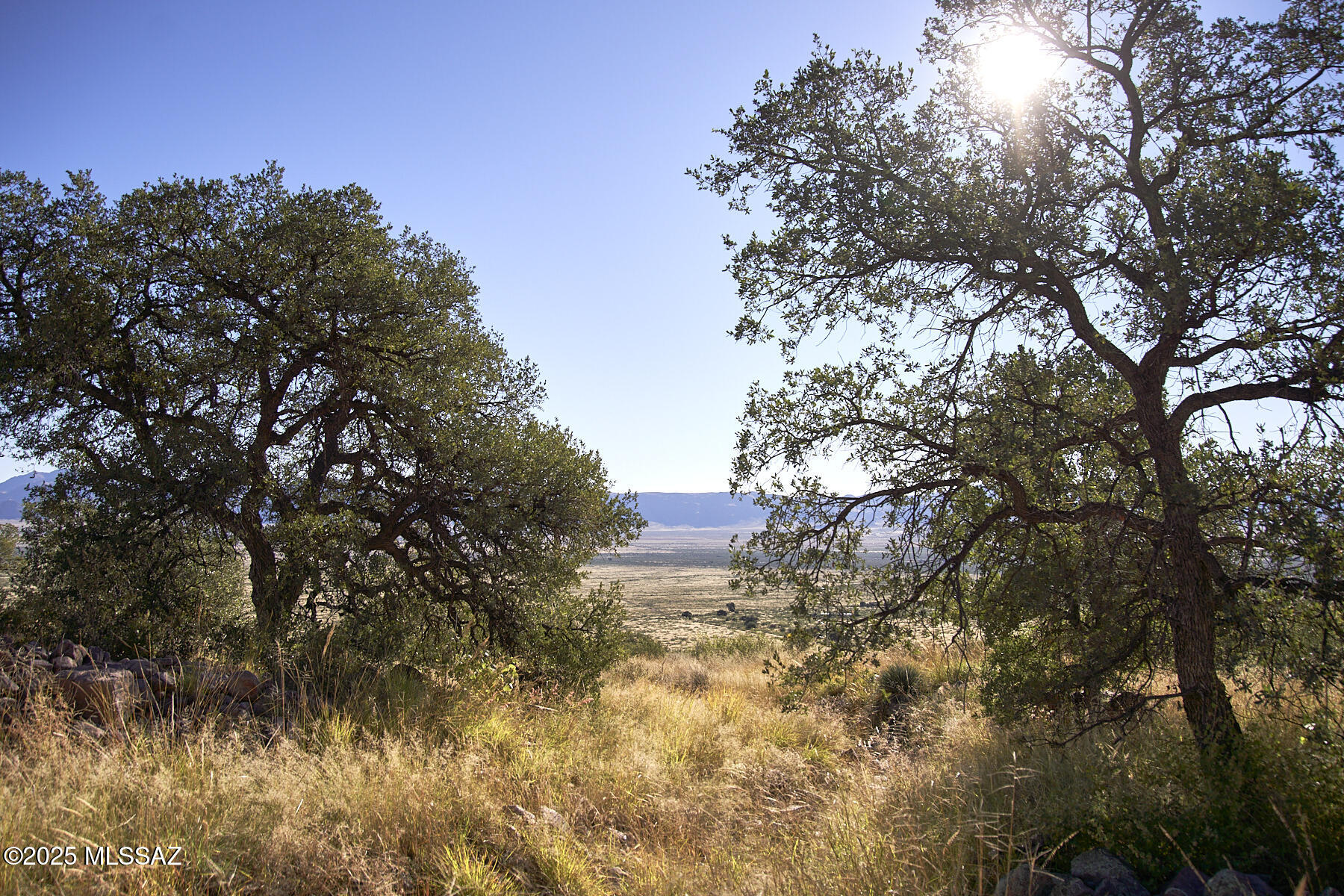 Out Of Pima County - Land