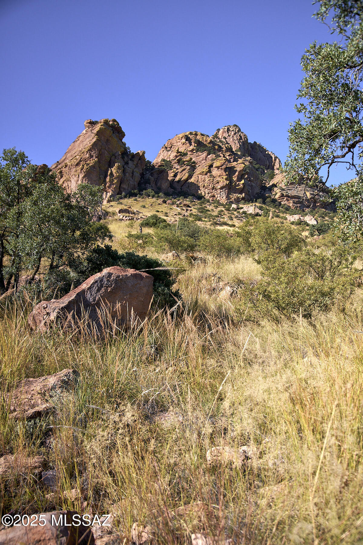 Out Of Pima County - Land