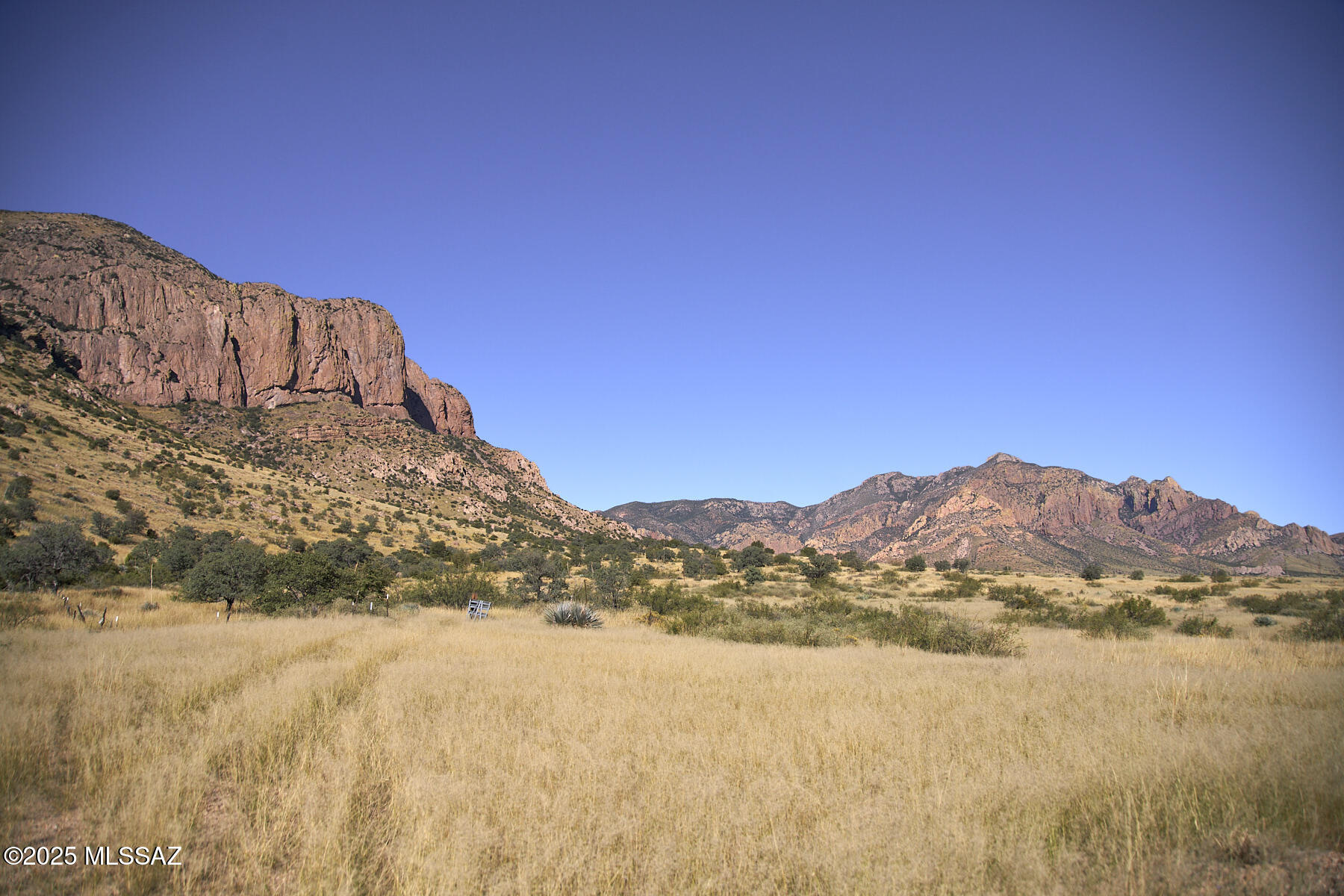 Out Of Pima County - Land