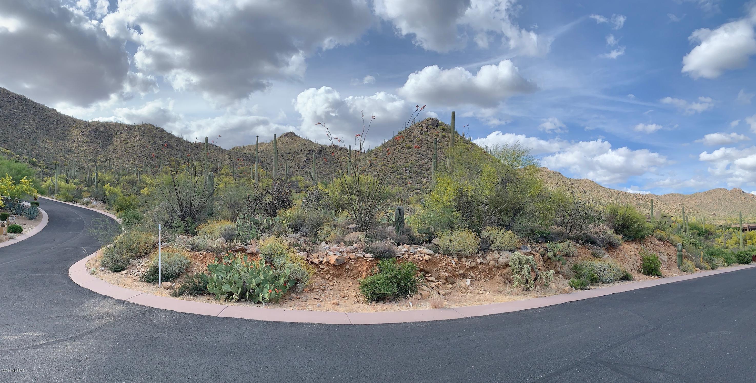 Canyon Pass III At Dove Mountain (111-181) - Land