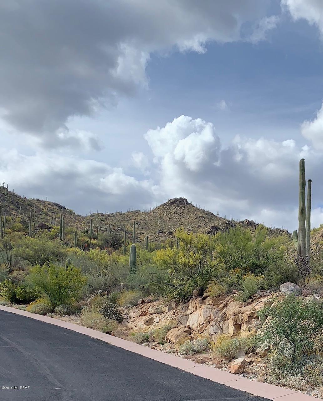 Canyon Pass III At Dove Mountain (111-181) - Land