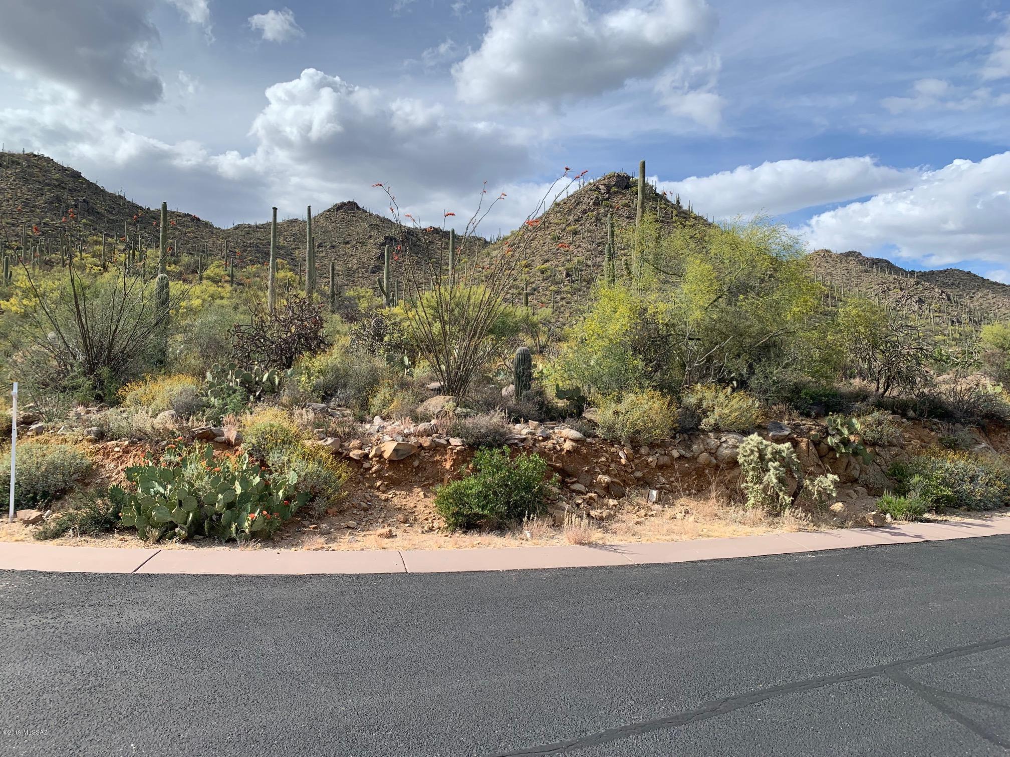 Canyon Pass III At Dove Mountain (111-181) - Land