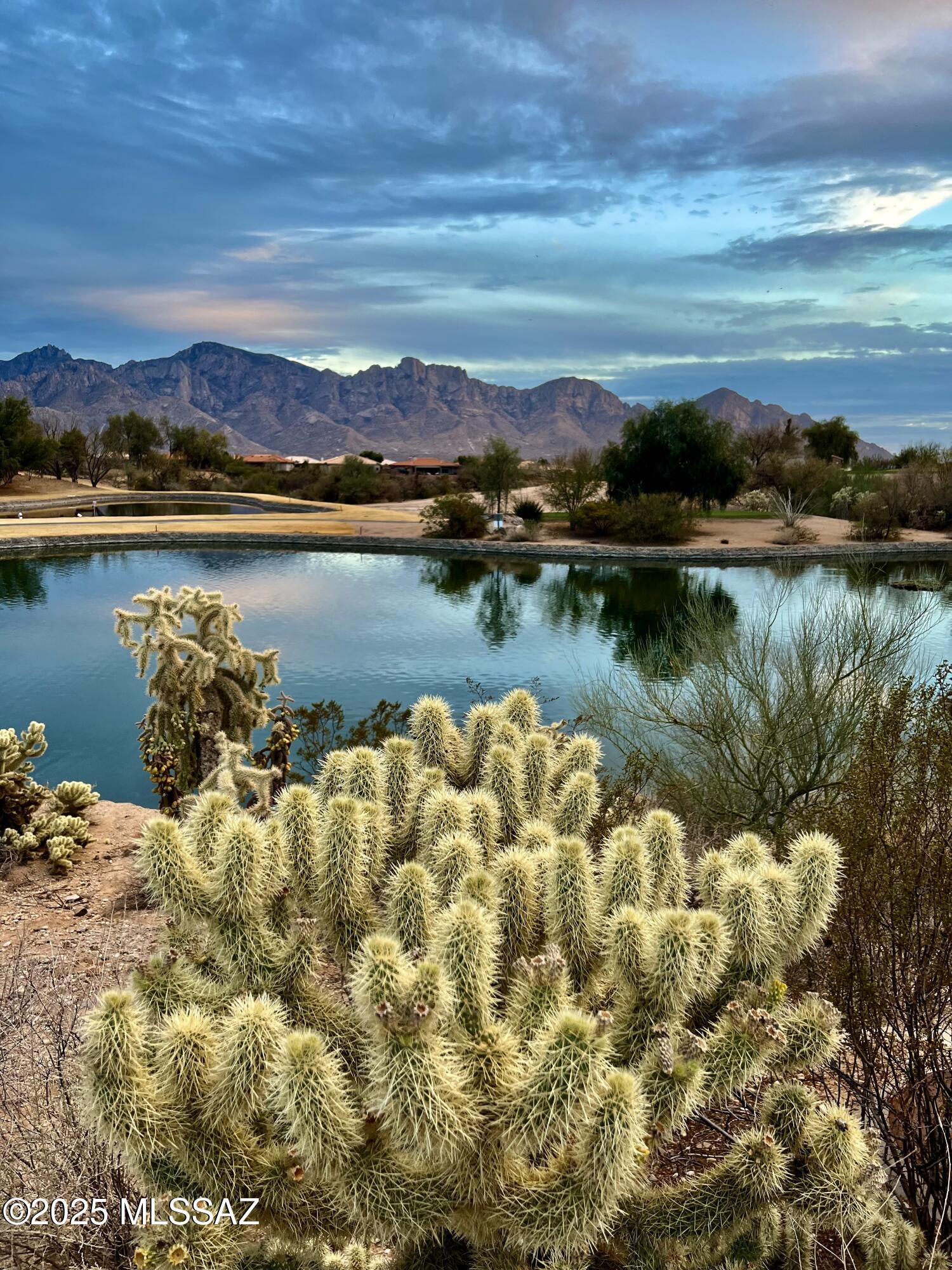 Sun City Vistoso Unit 12(1-277) - Residential