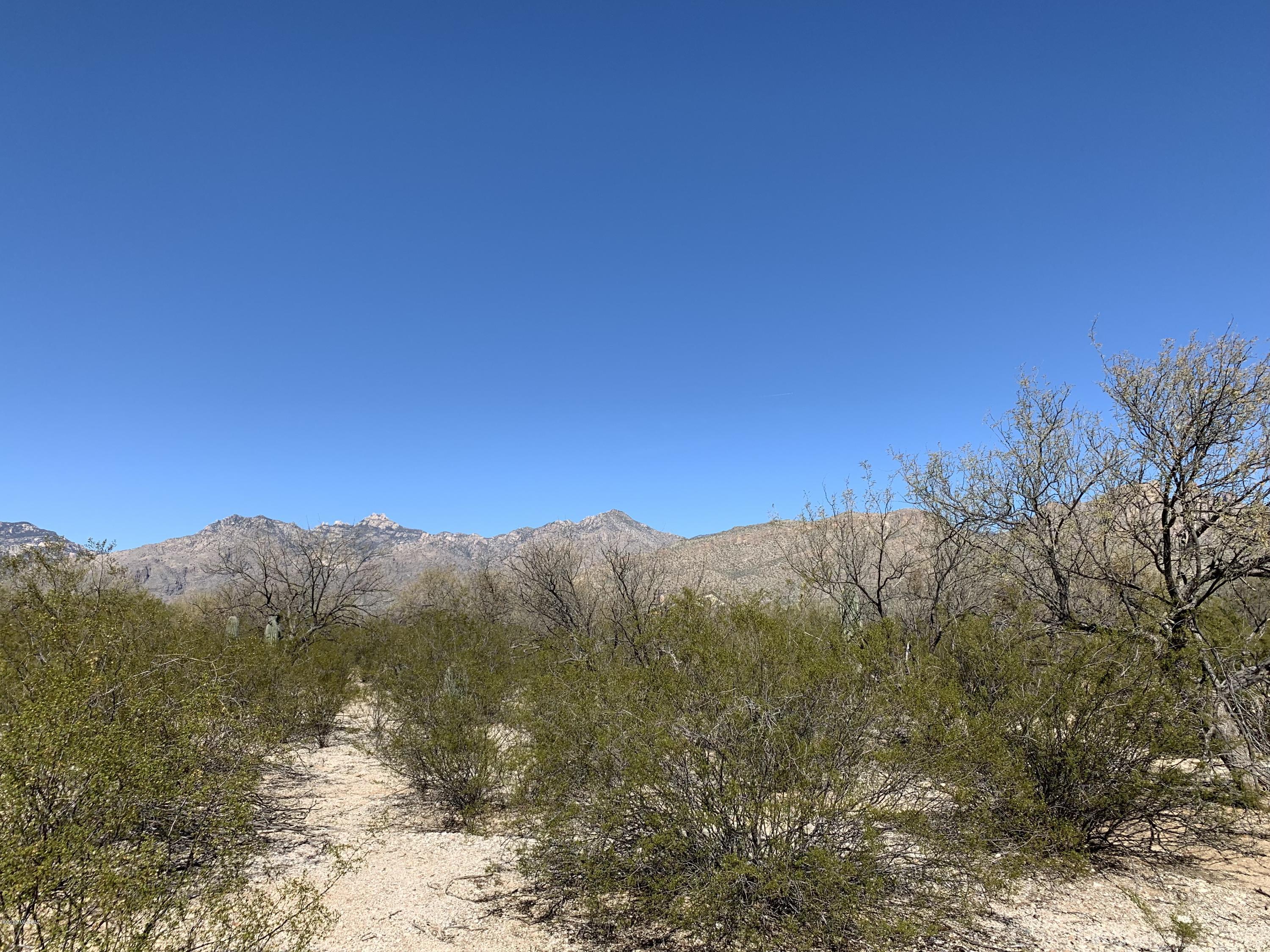 Lush Sonoran Desert lot with fantastic mountain views. Small4 lot subdivision, sewer runs along property line, Easy to build on. Private and quiet. Set way back from Bear Canyon