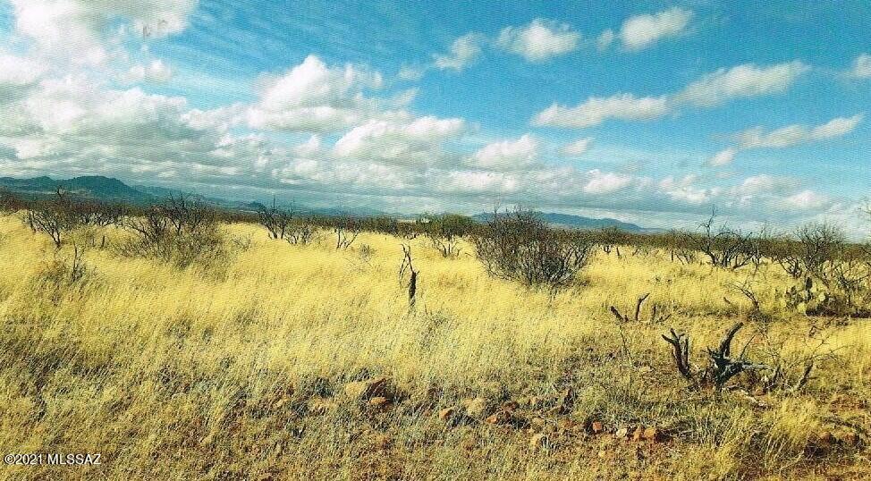 Tubac Foothills Ranch - Land