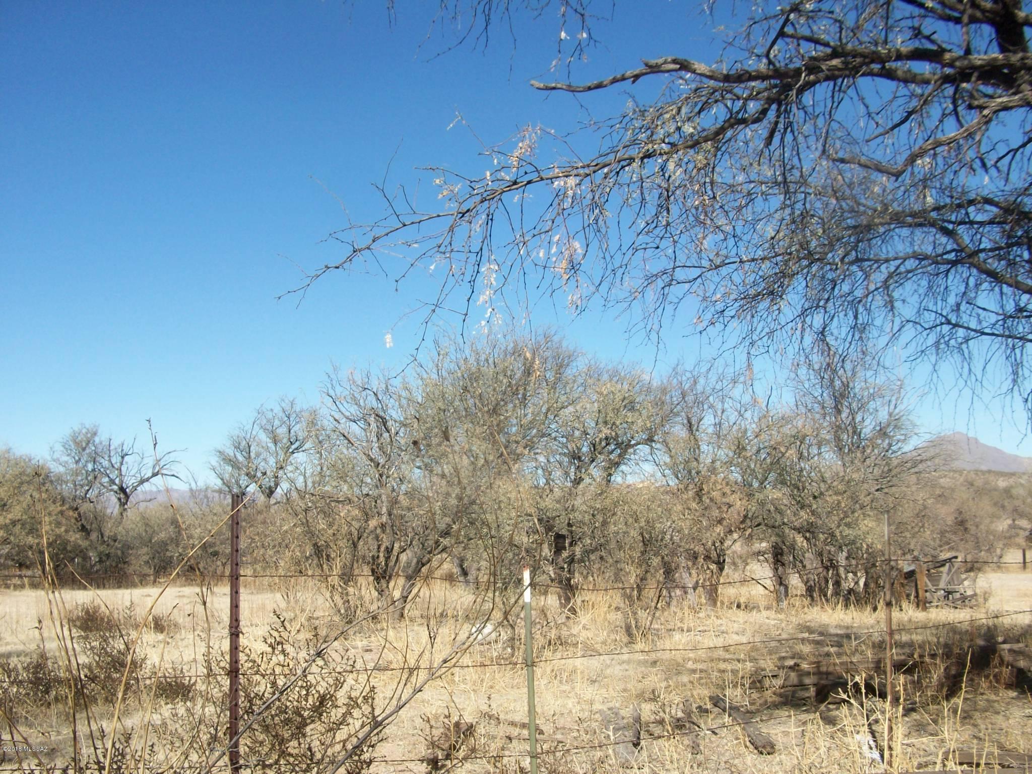Rio Rico Ranchettes - Land
