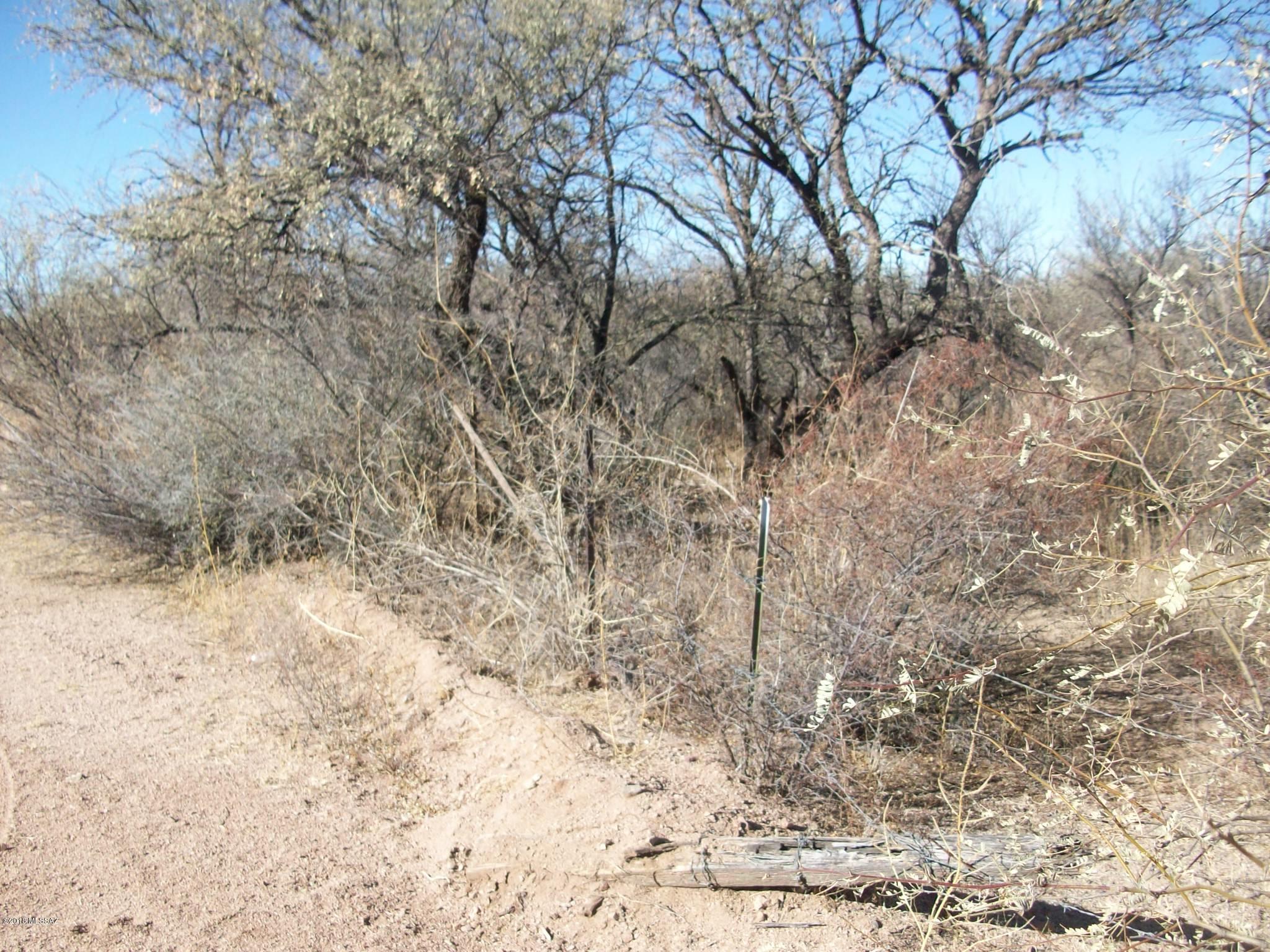 Rio Rico Ranchettes - Land
