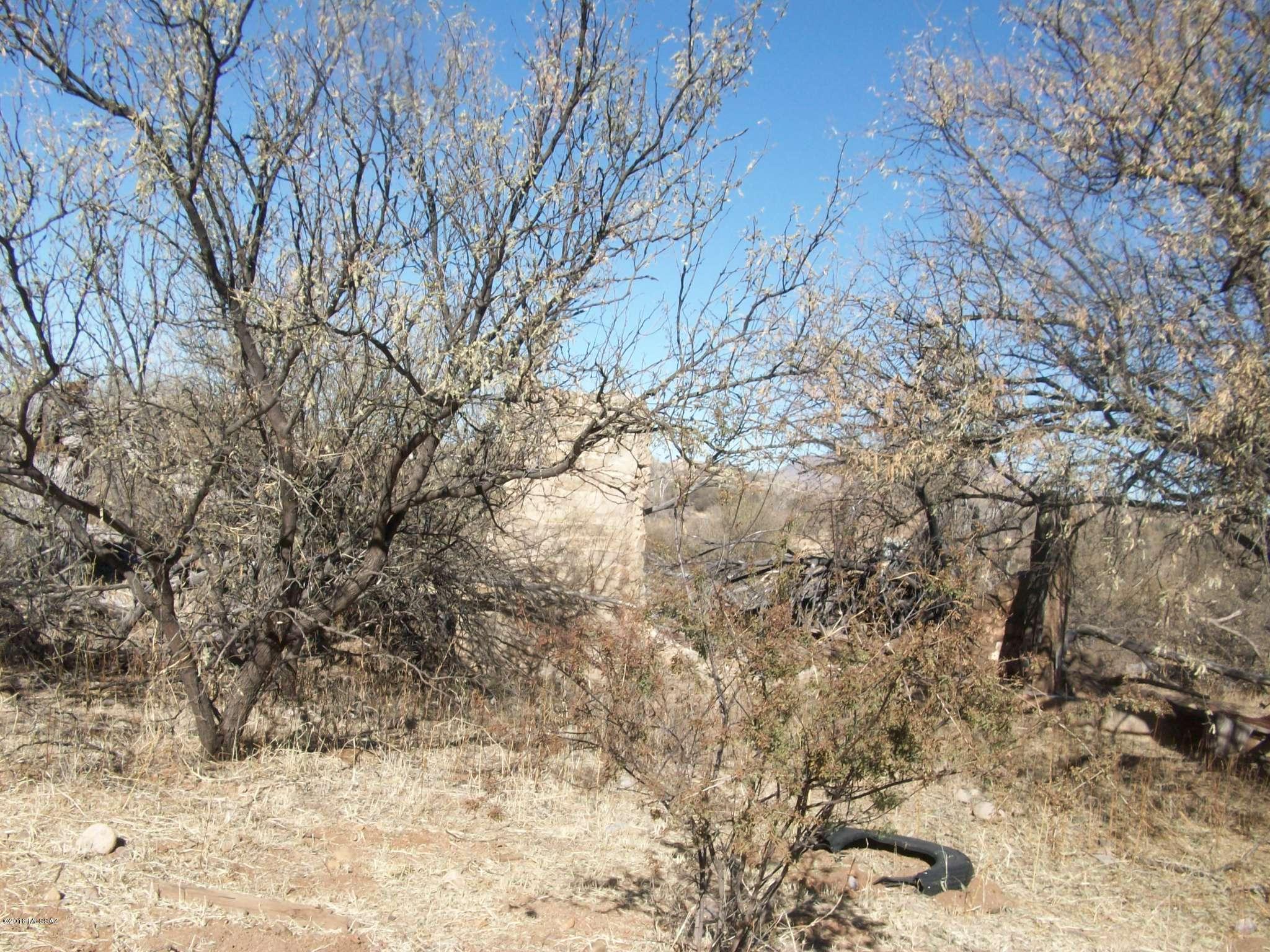 Rio Rico Ranchettes - Land