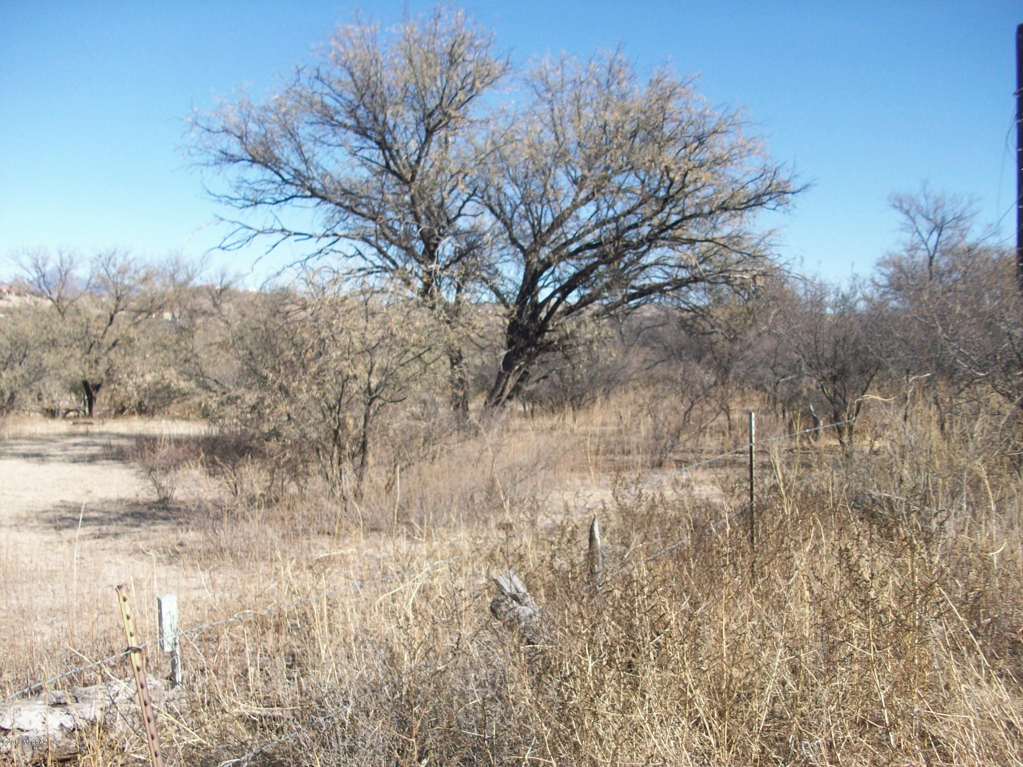 Rio Rico Ranchettes - Land