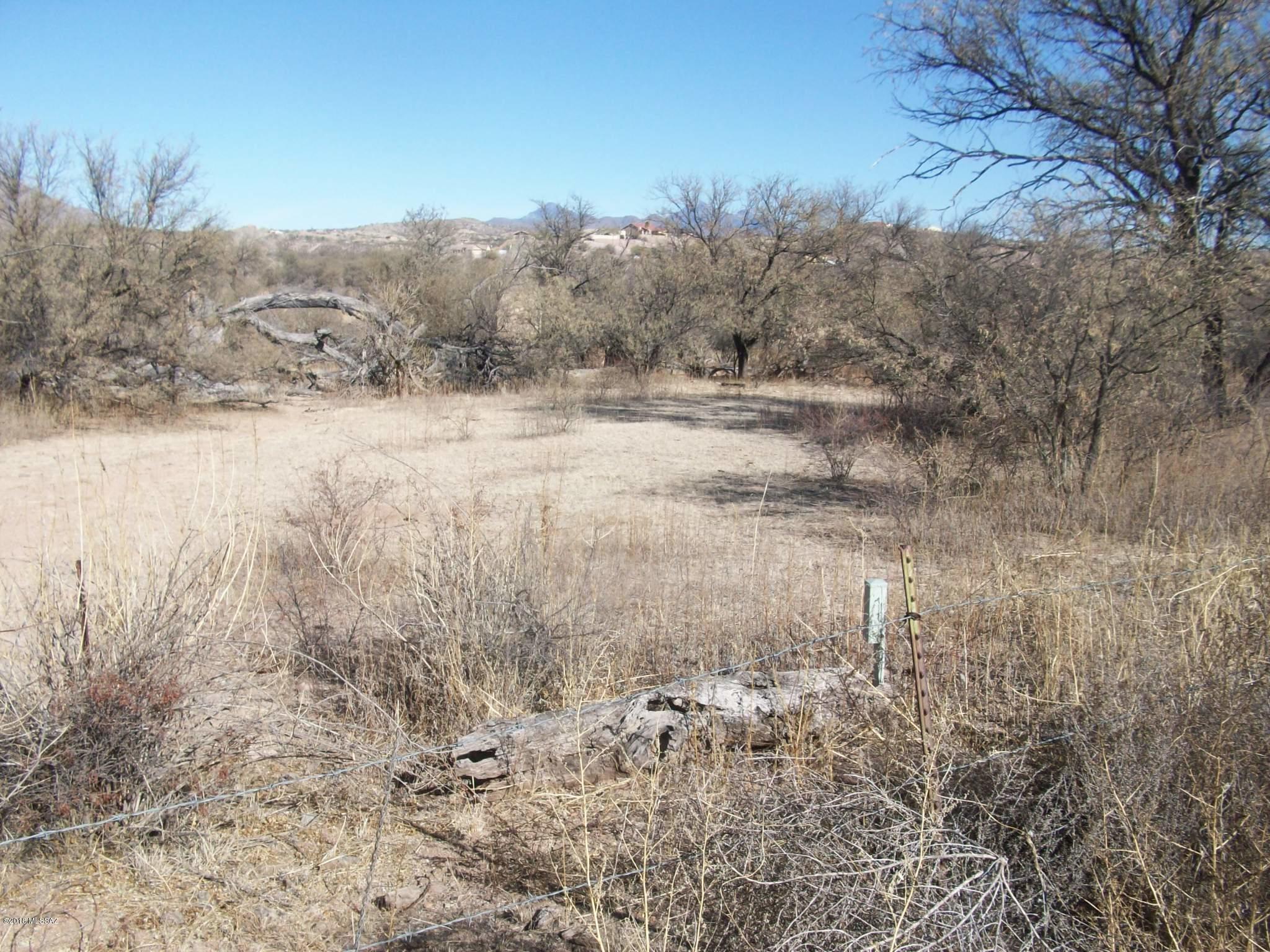 Riverview property - has been used for cattle - Barb wire fenced - great agricultural opportunity.