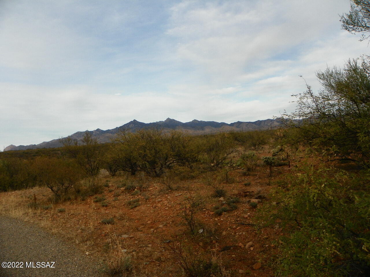 Rio Rico Estates 16 - Land