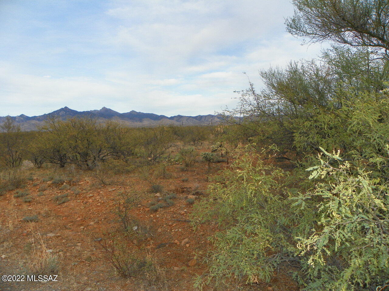 Rio Rico Estates 16 - Land