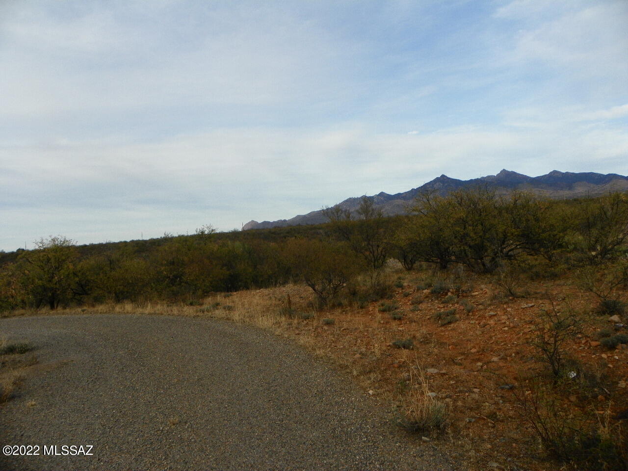 Rio Rico Estates 16 - Land
